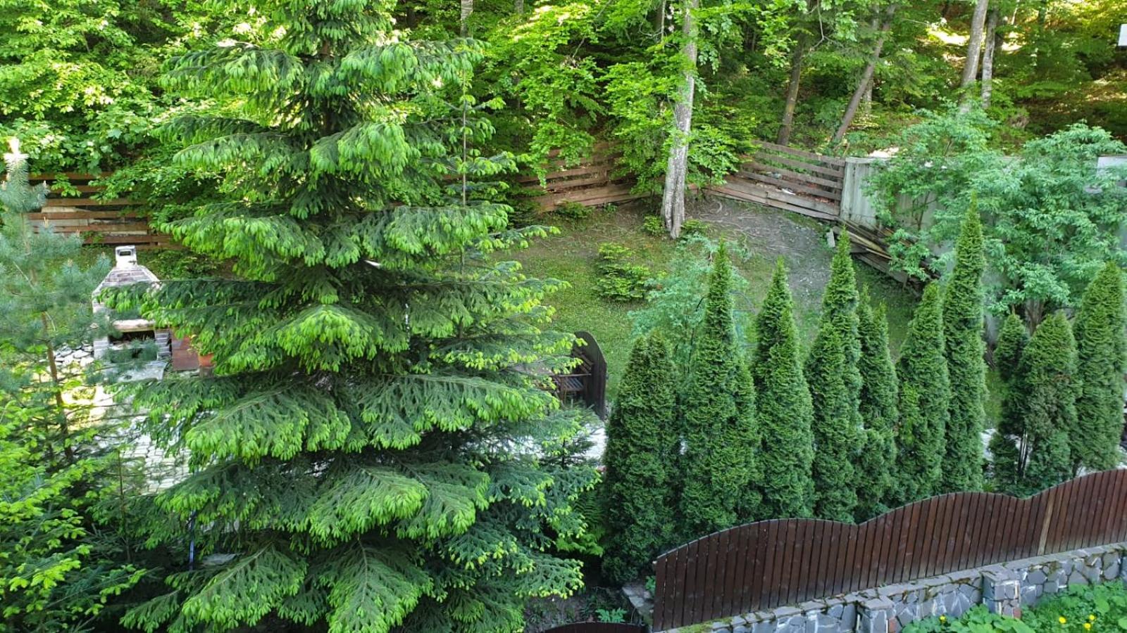 GREEN VIEW view 4