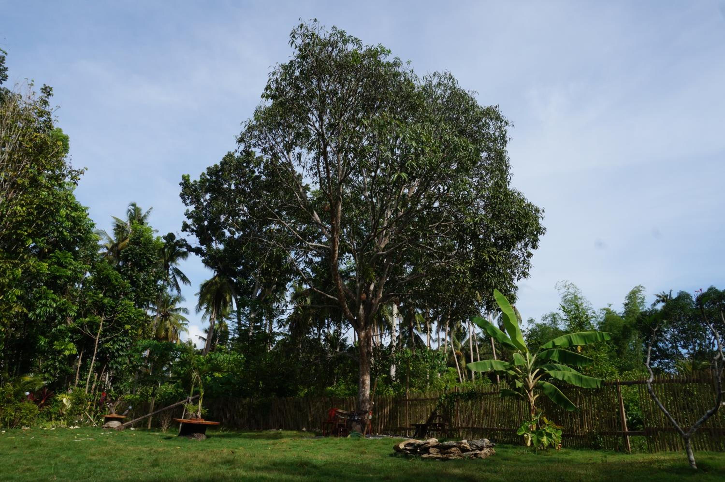 Peaceland Hostel