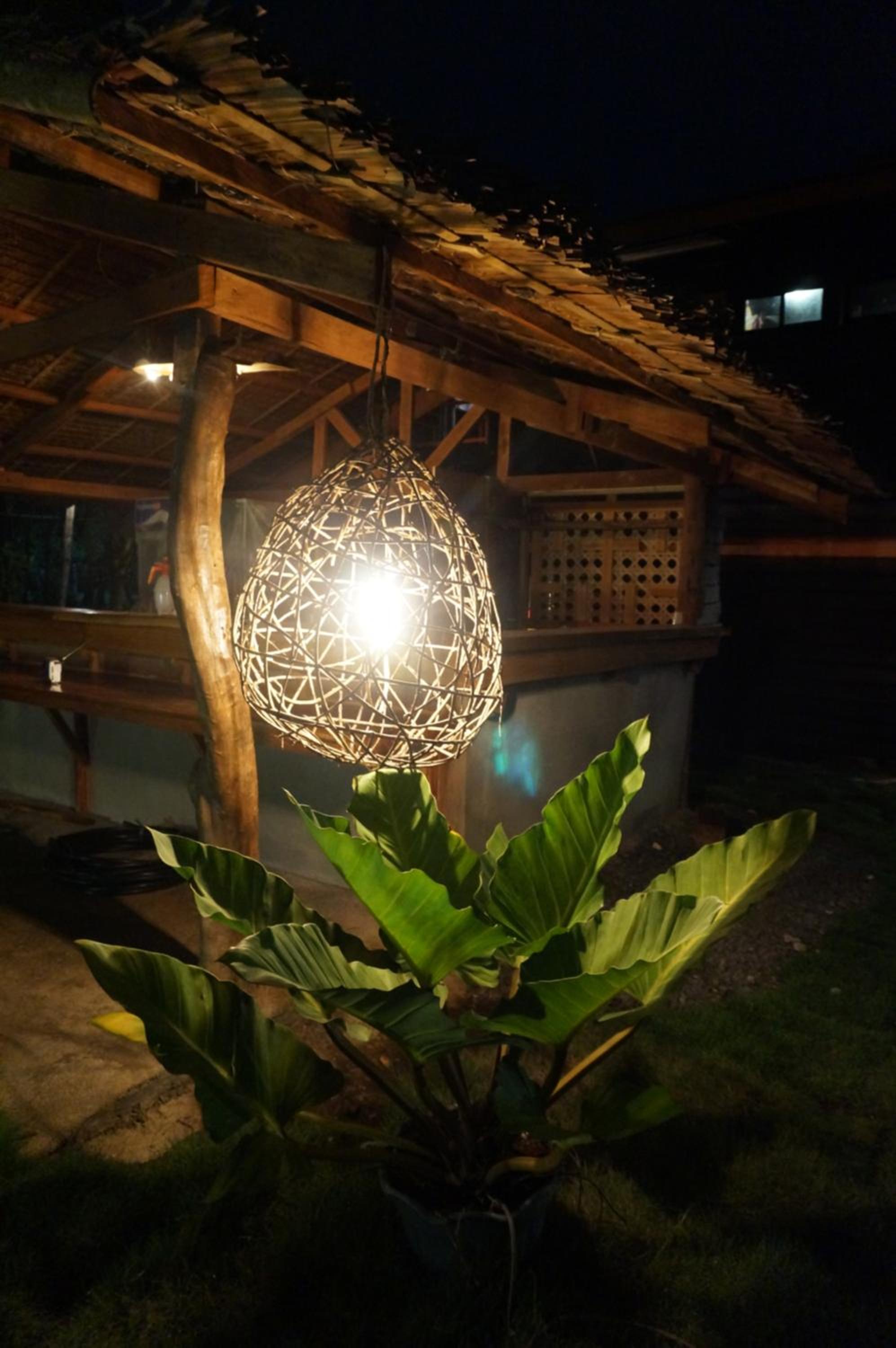 Peaceland Hostel