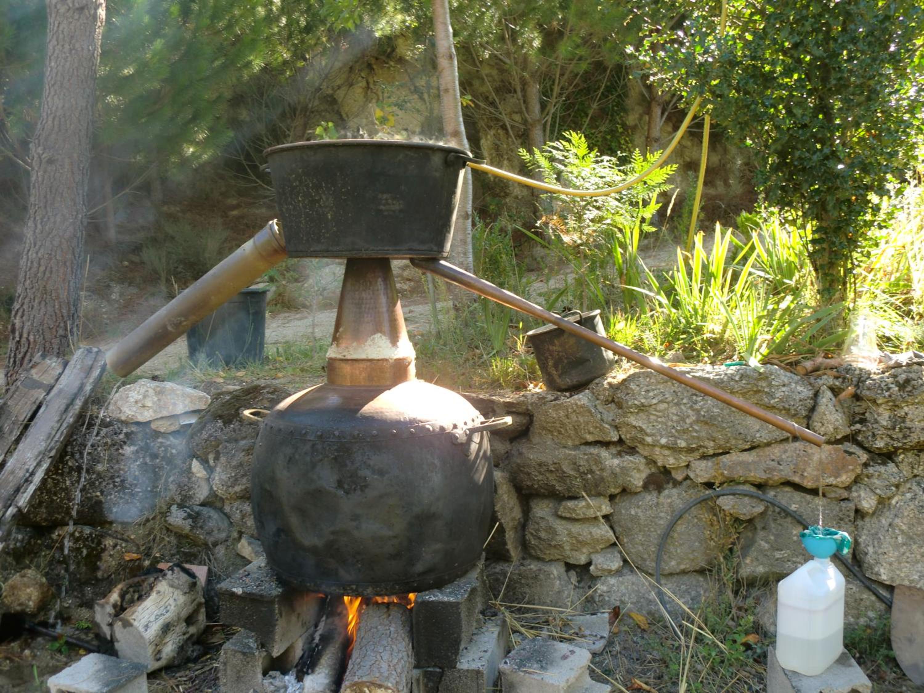 Quinta Do Circo - Serra Da Estrela - Turismo Rural