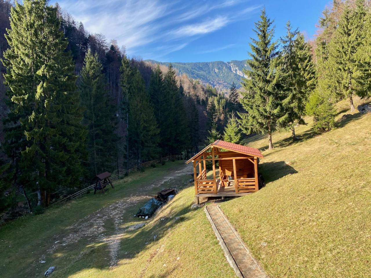 Cabana Caprioara - Piatra Craiului view 3