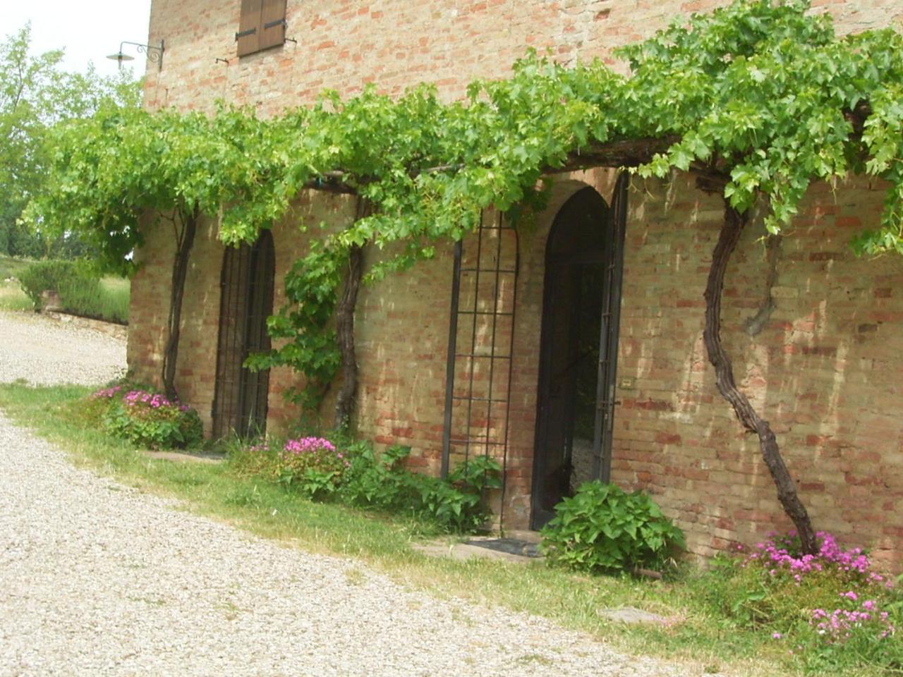 Podere Cartaio Bio Farm, private pool, AirC