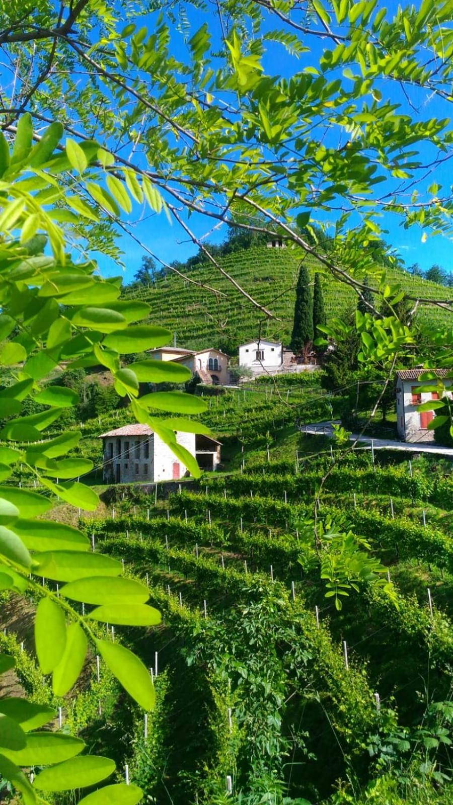 Seven Suites Pieve view 2