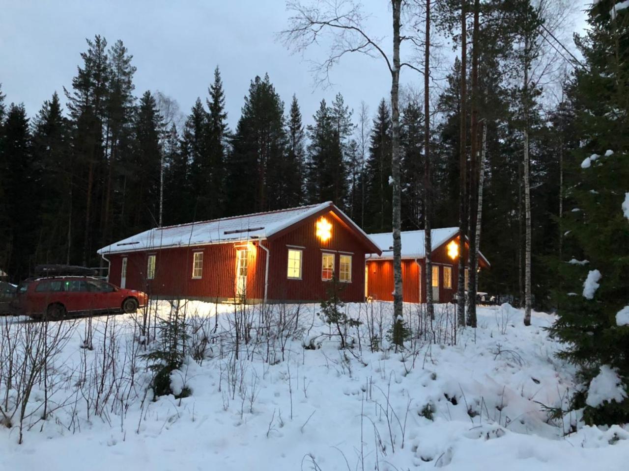 Photo 41