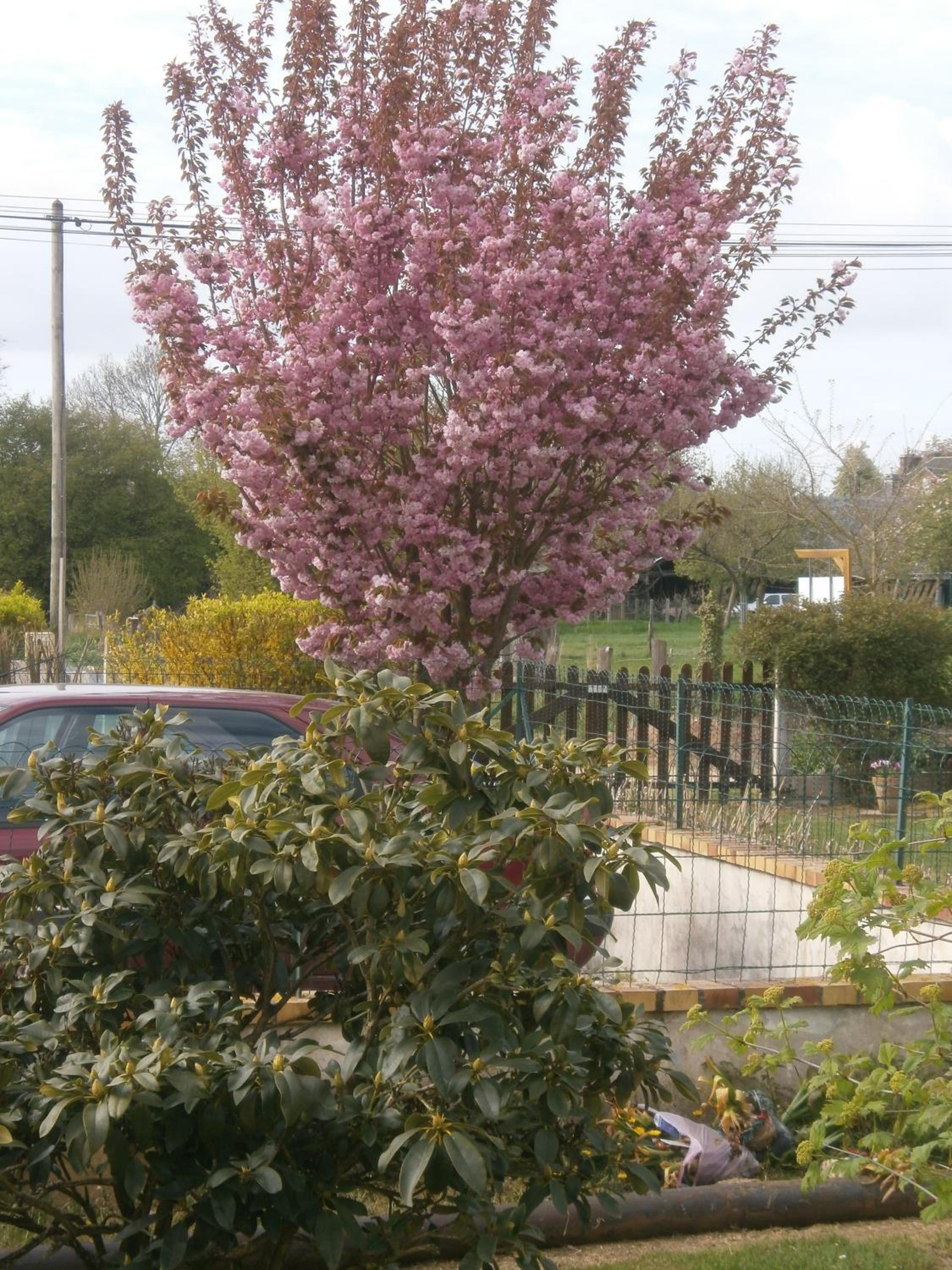 Photo 24