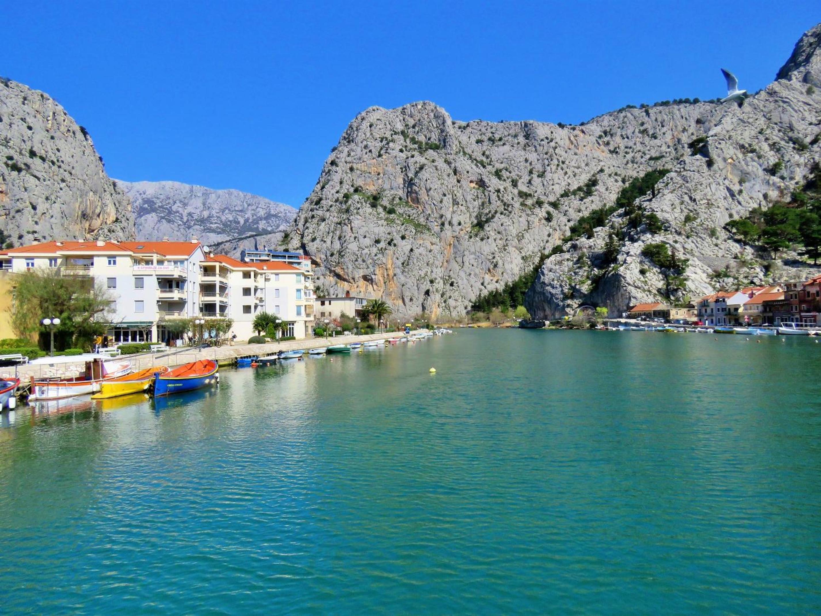 Hotel Mitra Zonata Pink