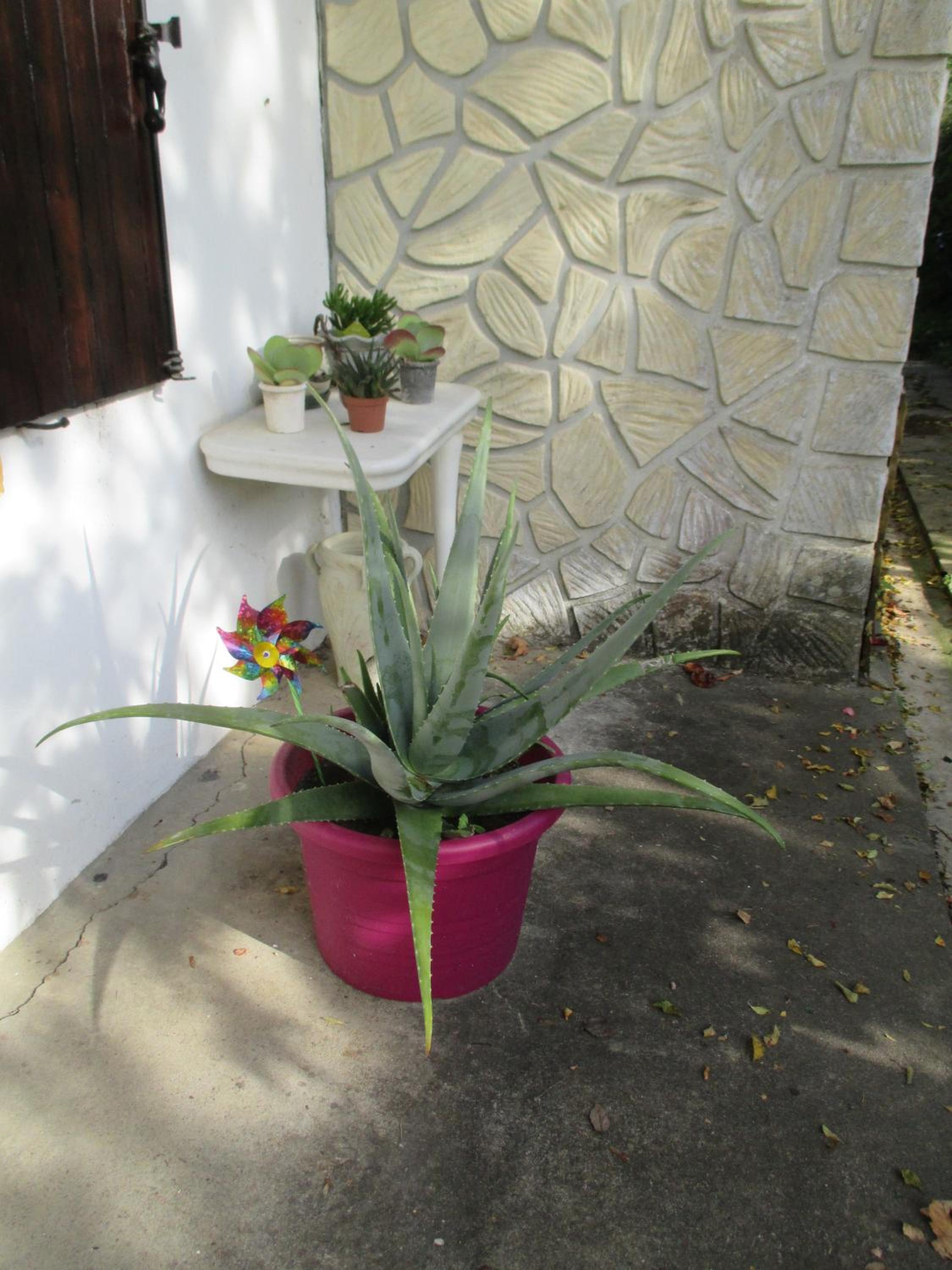 Photo 16