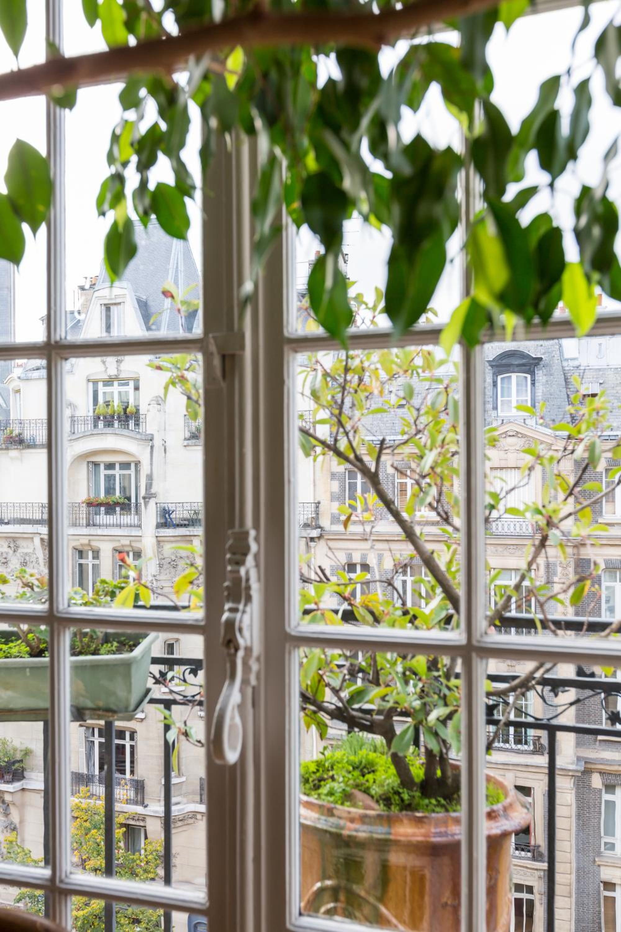 Veeve - Haussmann Beauty in the 6th