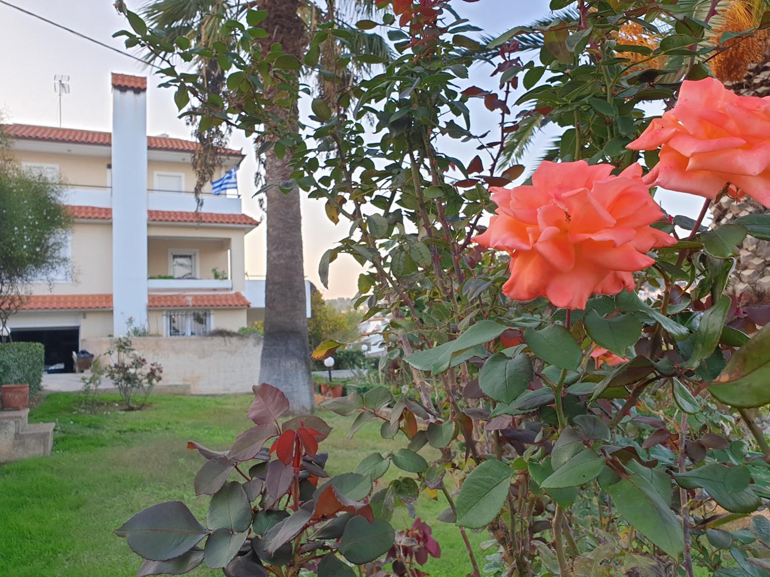 Hotel Vaso's country house near the beach and airport - Image 1