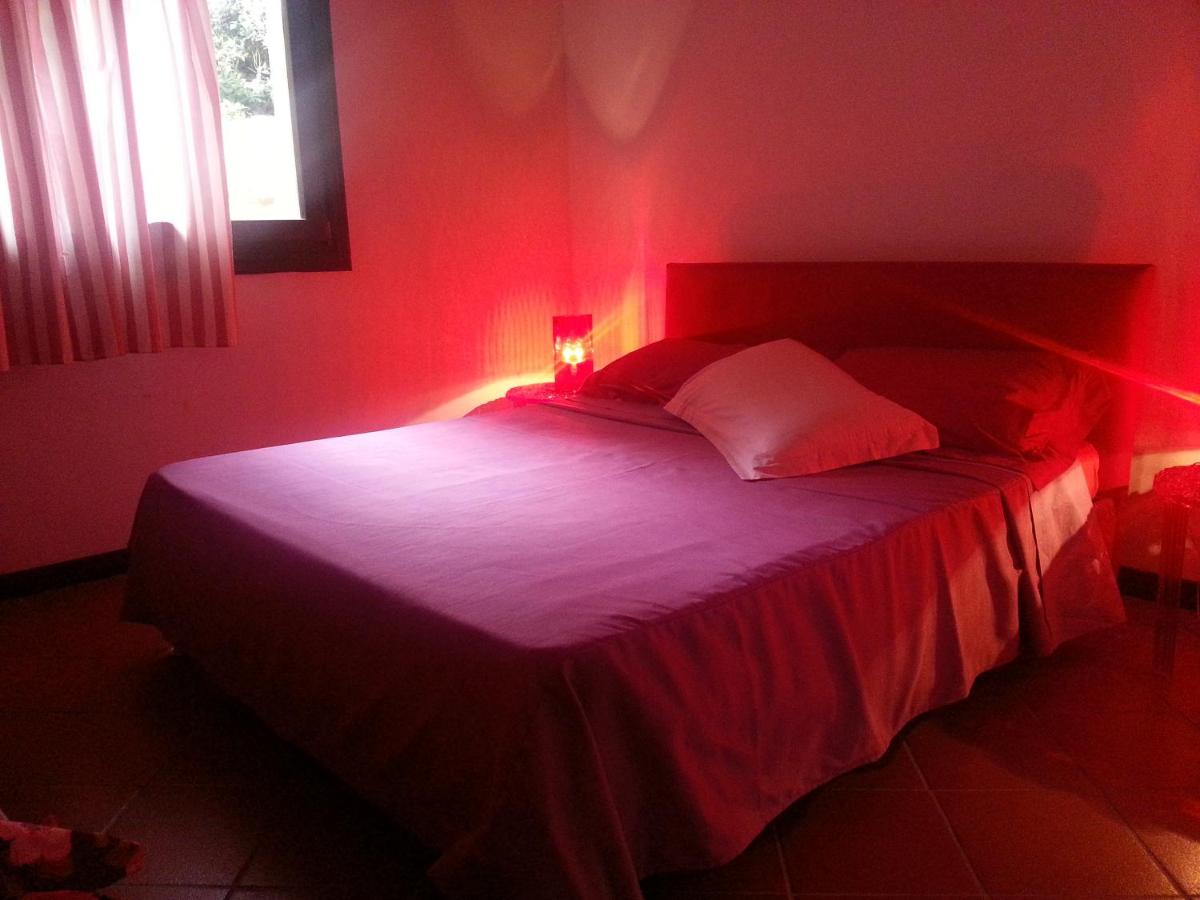 villa Magritte photo 2