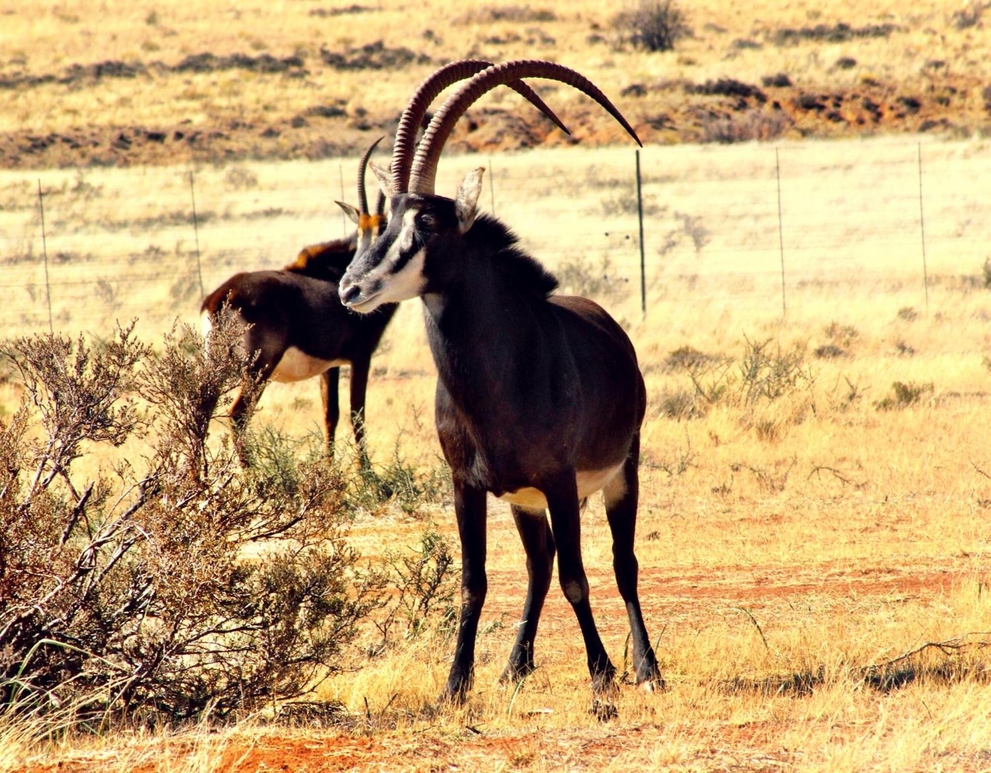 Otterskloof Game Reserve view 5