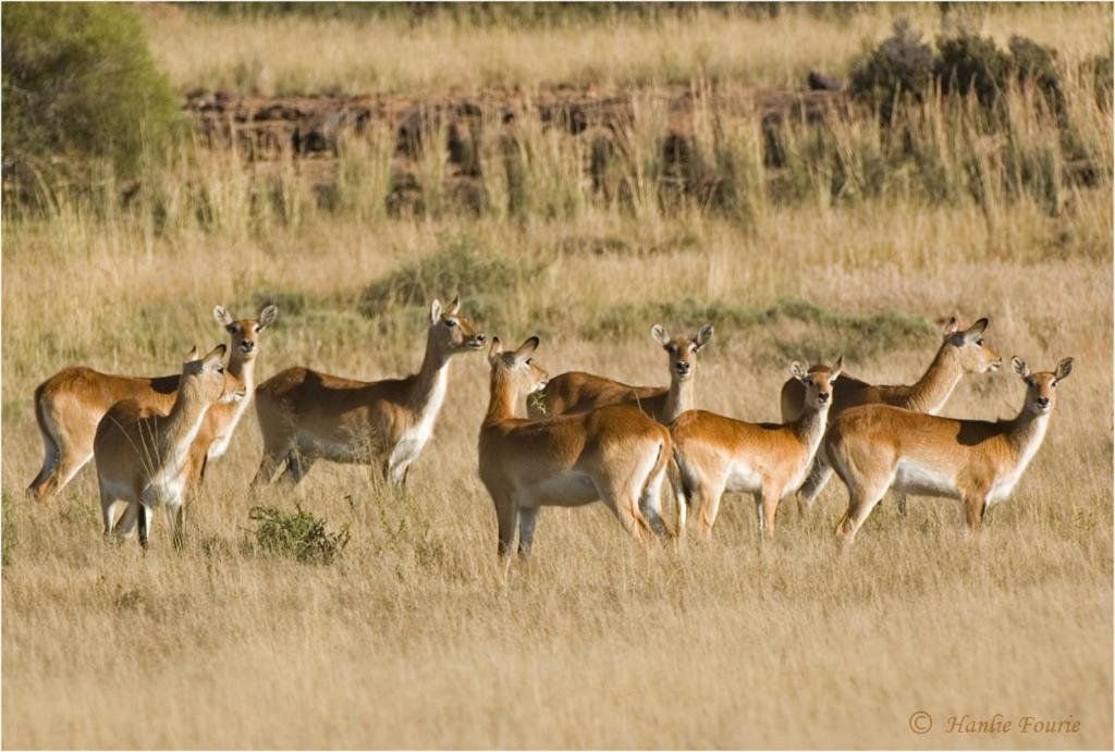 Otterskloof Game Reserve view 4