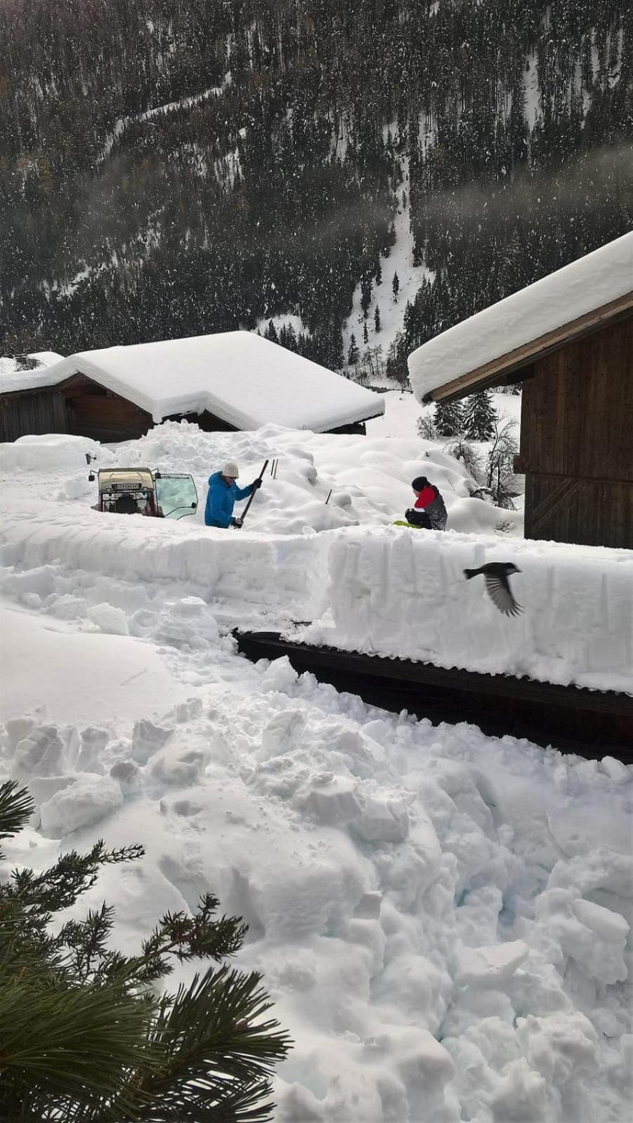 Pension Fürhapter mit Bio- Bauernhof