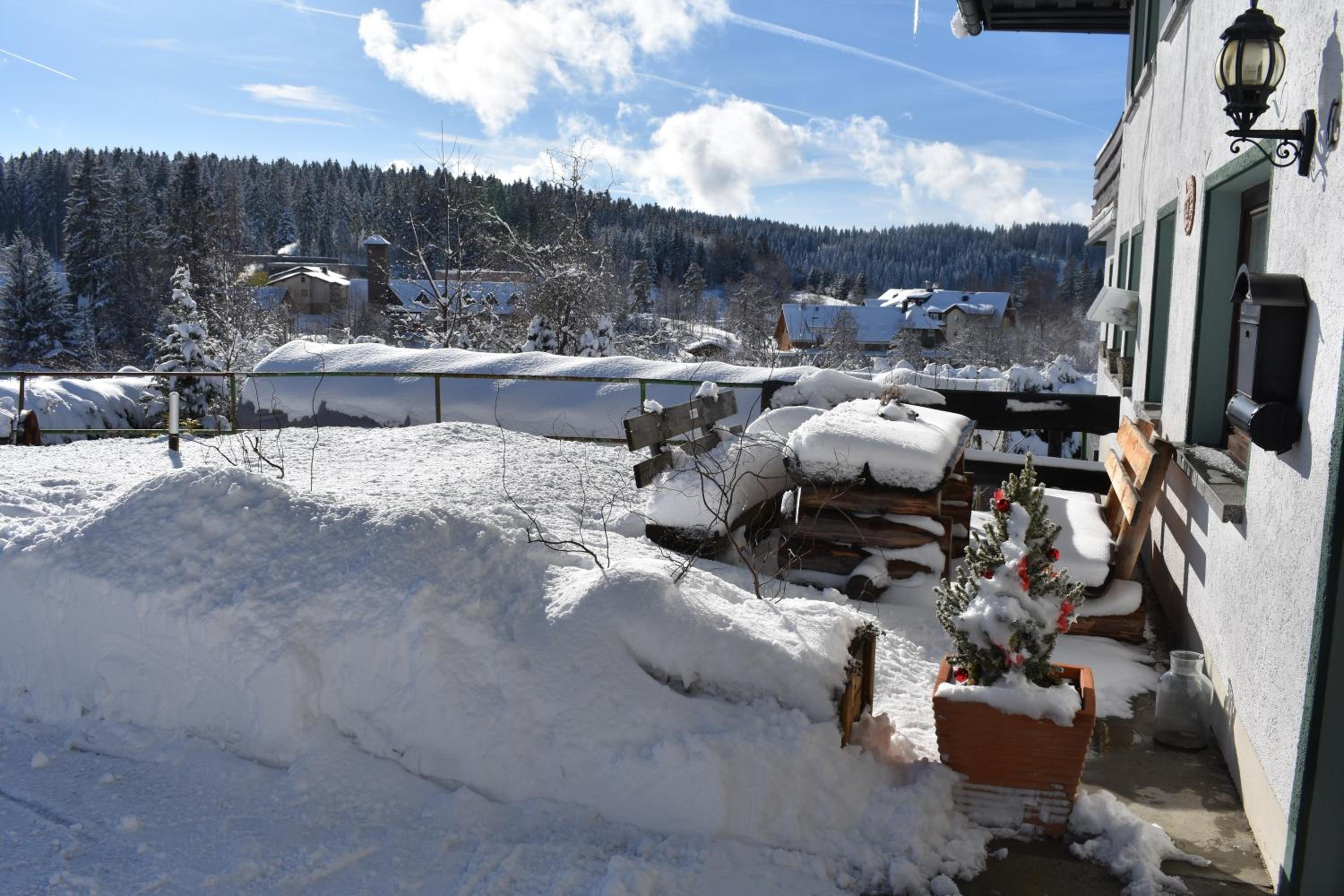 Pension Wiesengrund - Property Image 34