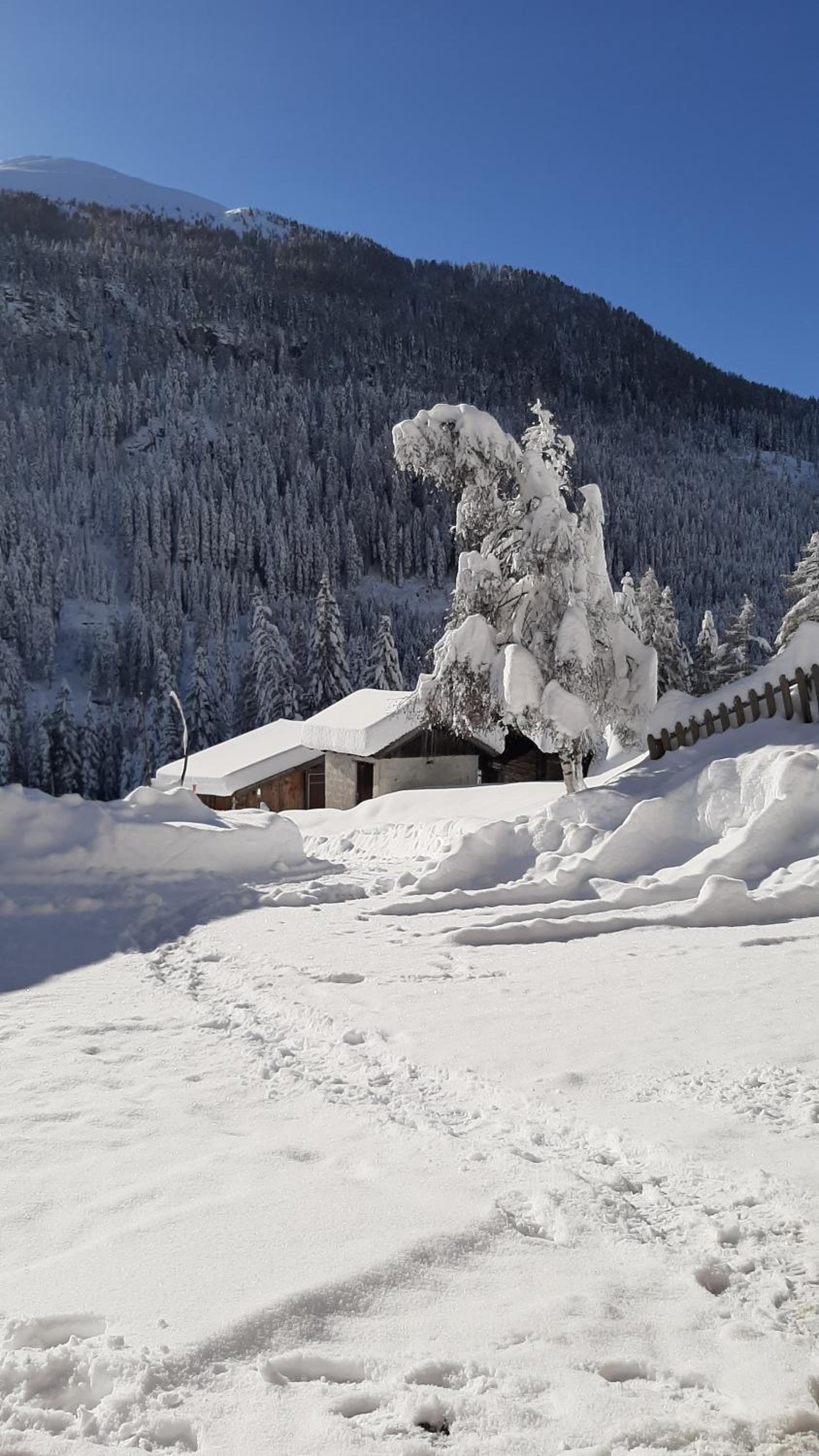 Pension Fürhapter mit Bio- Bauernhof