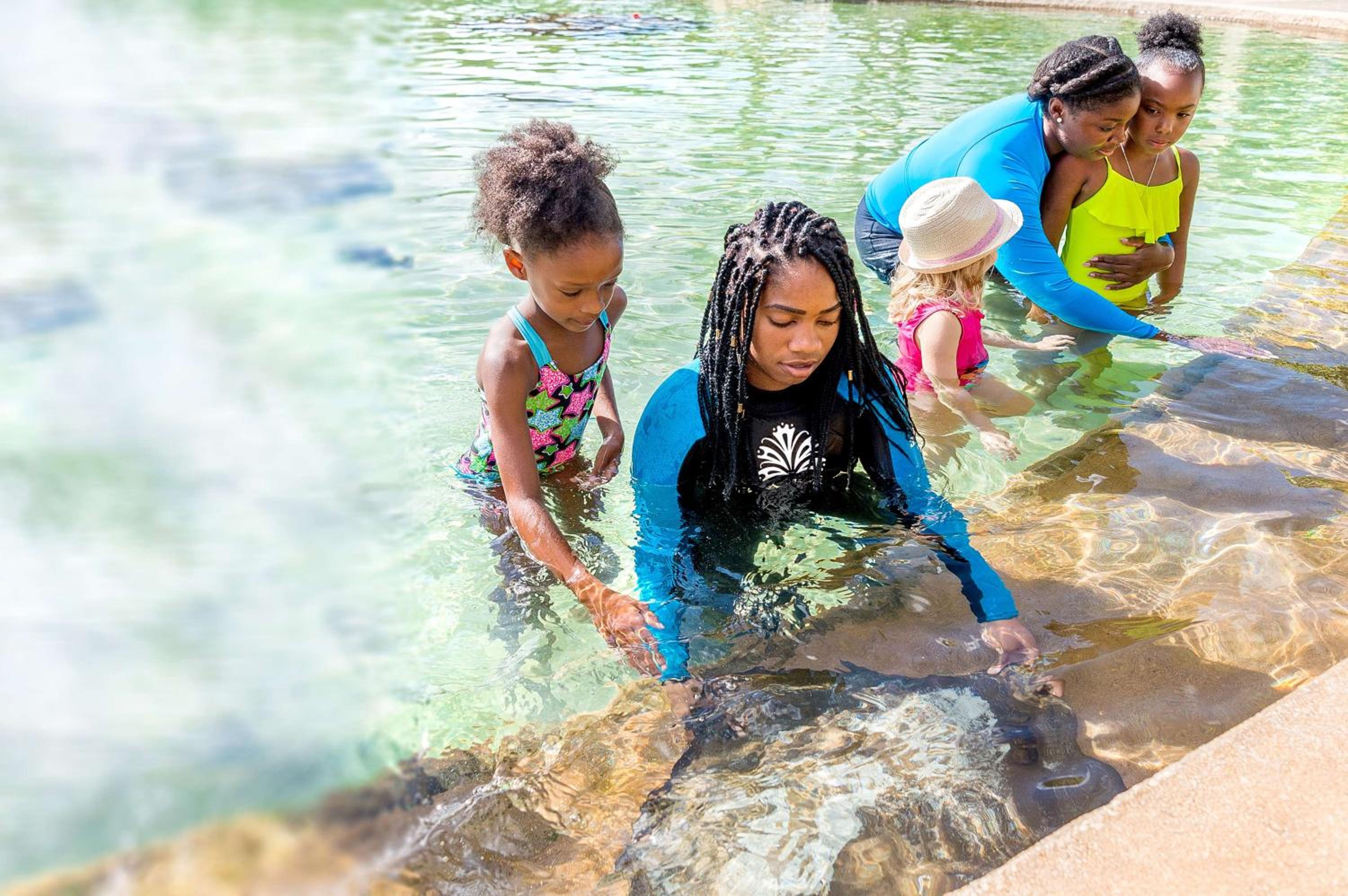 Nassau - Paradise Island Vacations - Grand Hyatt Baha Mar - Property Image 51