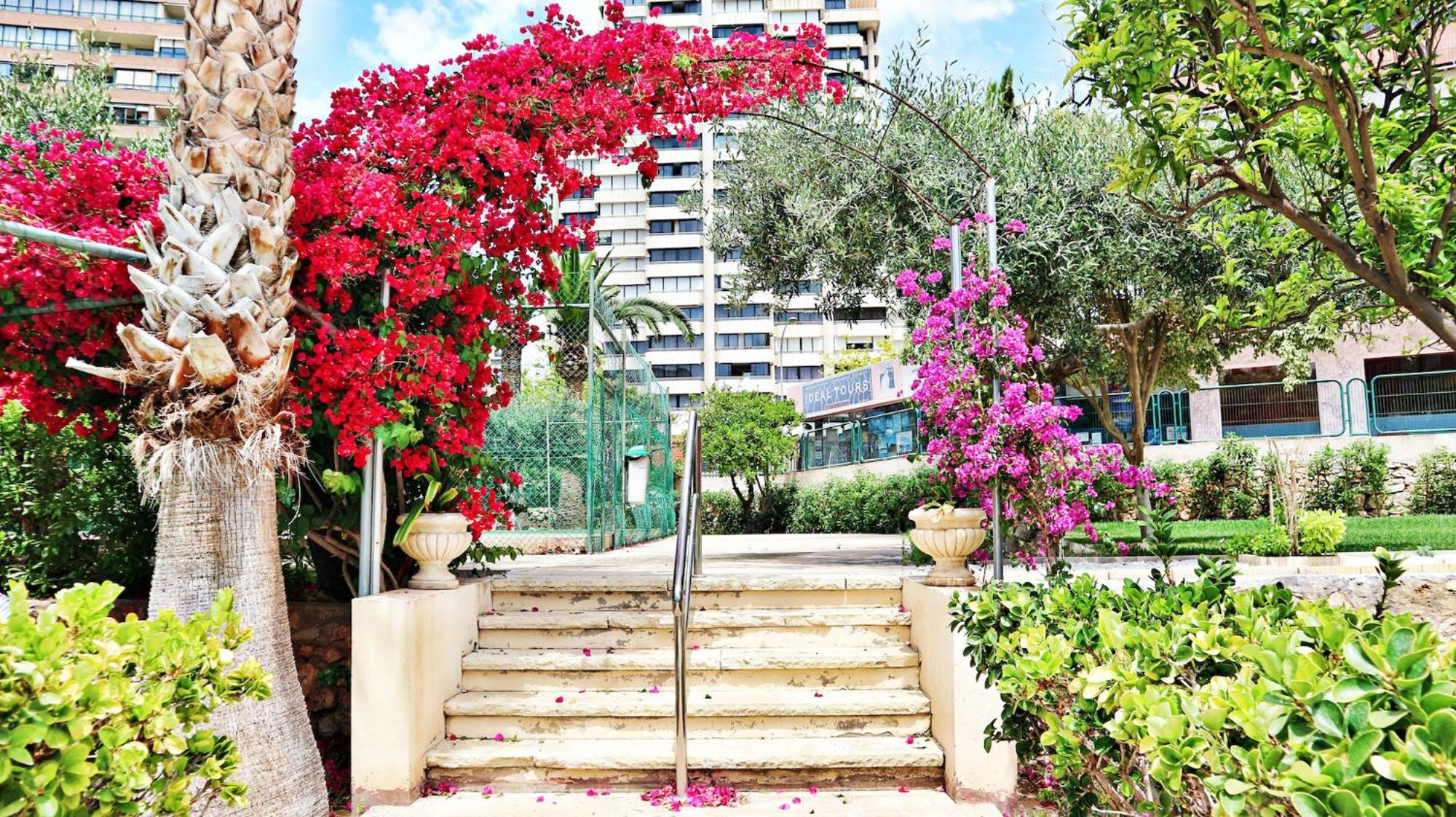 activities & amenities