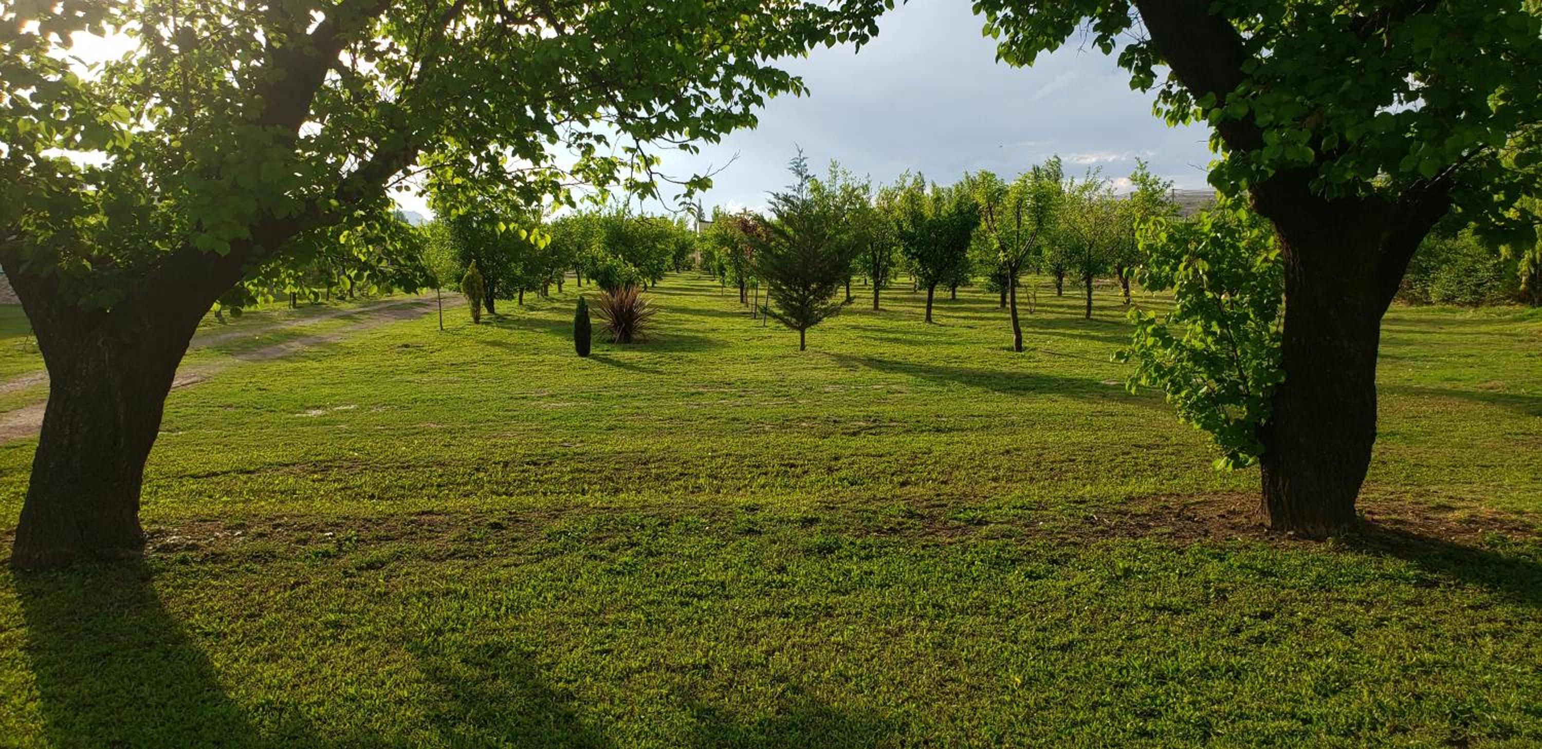 Altos del Atuel