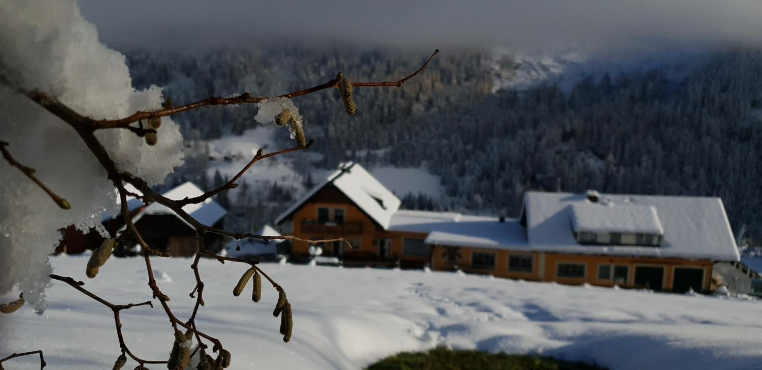 Pension Stieber view 3