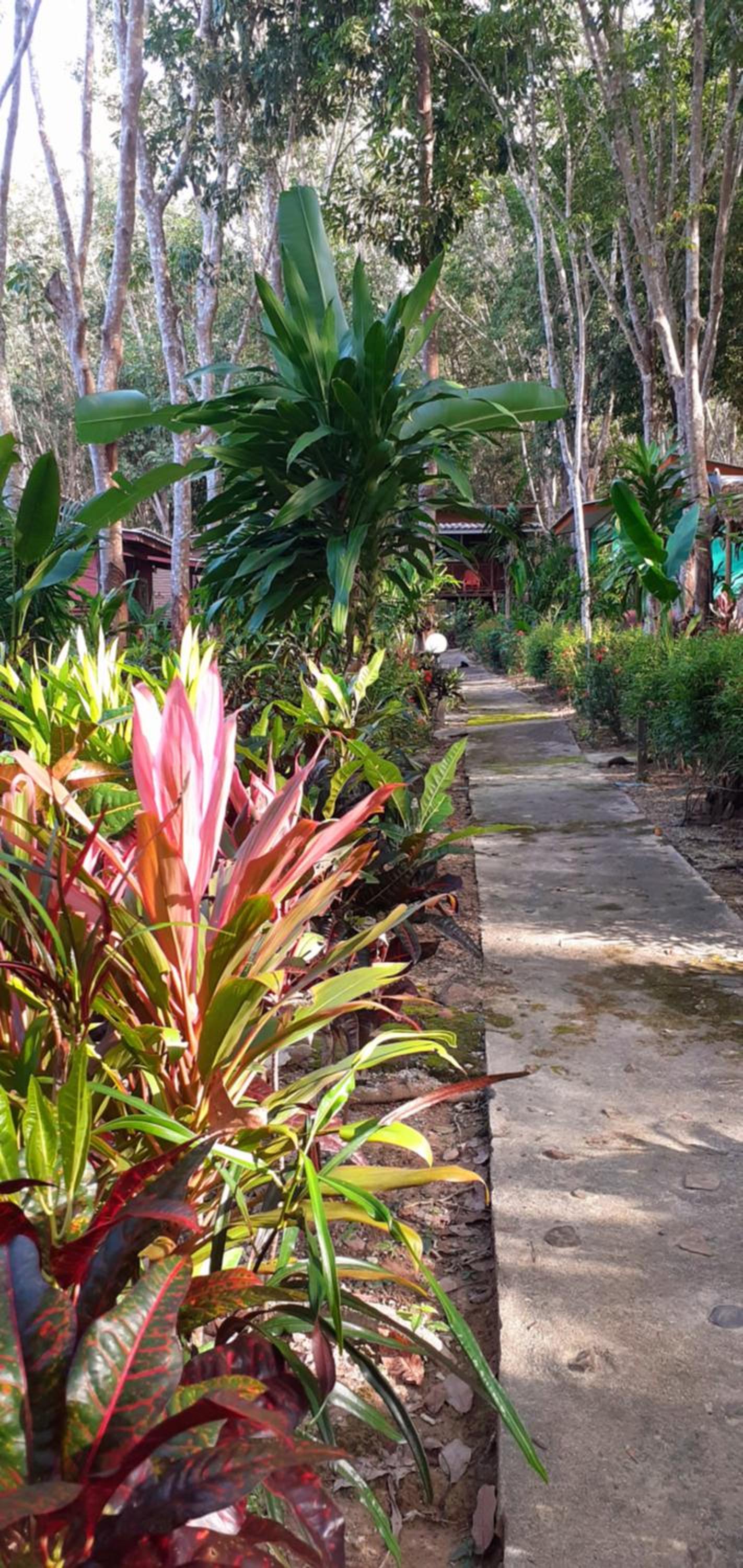 Lanta Maikeaw Bungalow