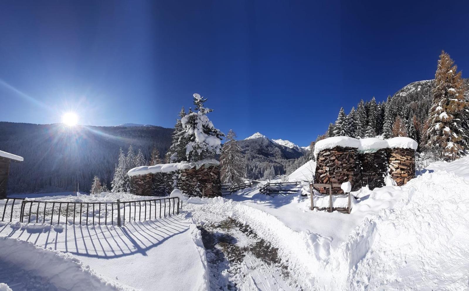Pension Fürhapter mit Bio- Bauernhof