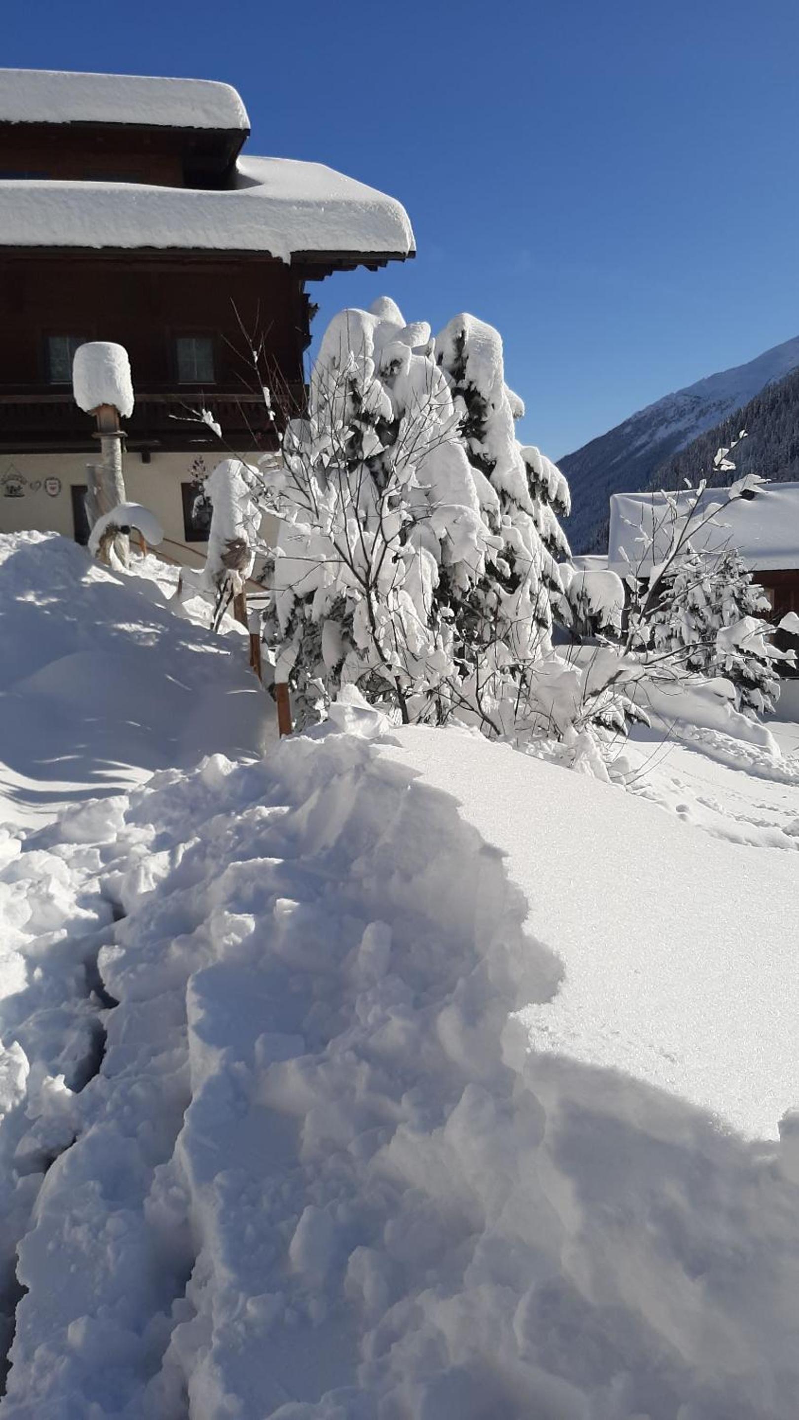 Pension Fürhapter mit Bio- Bauernhof