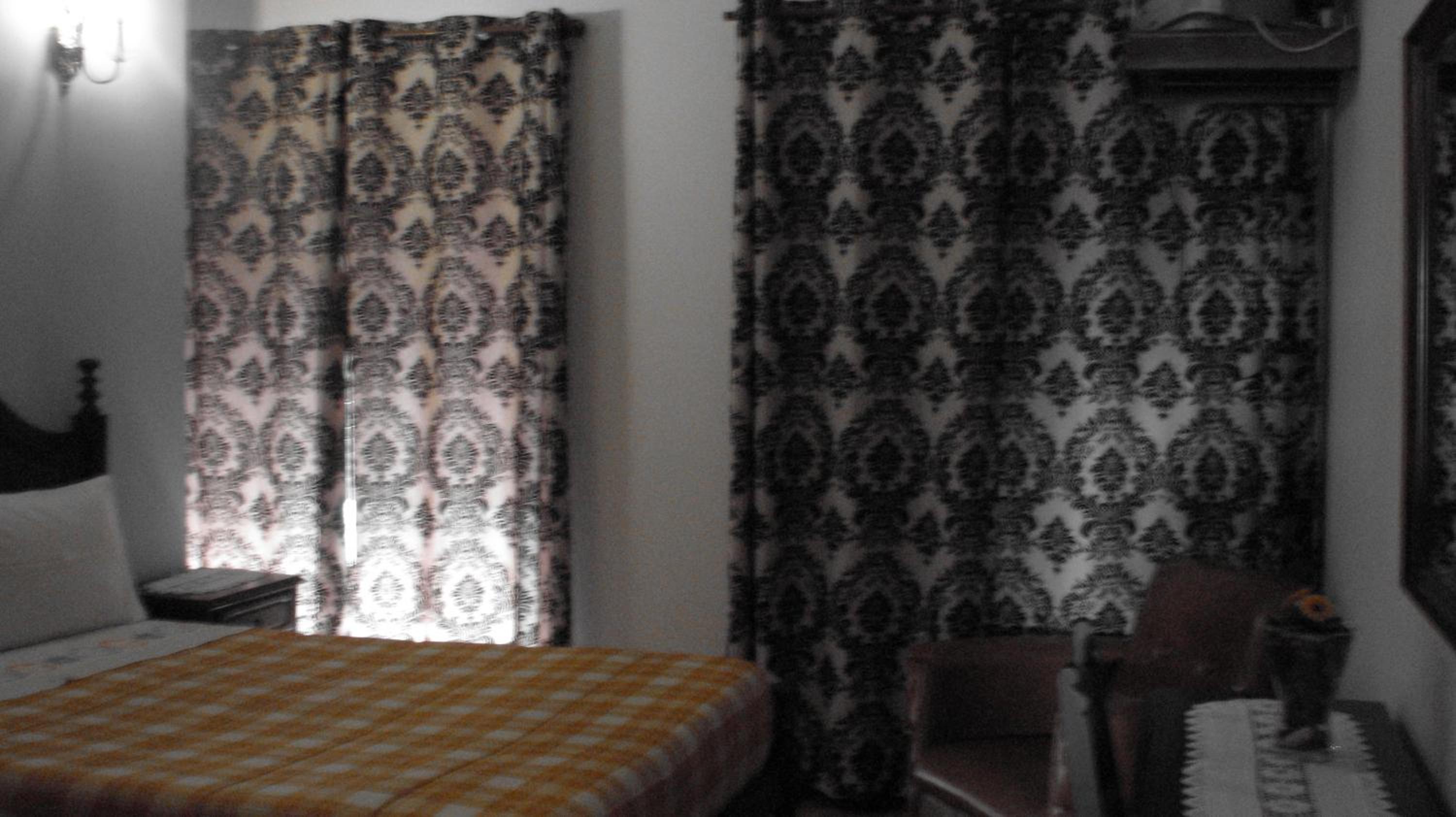 Photo 44