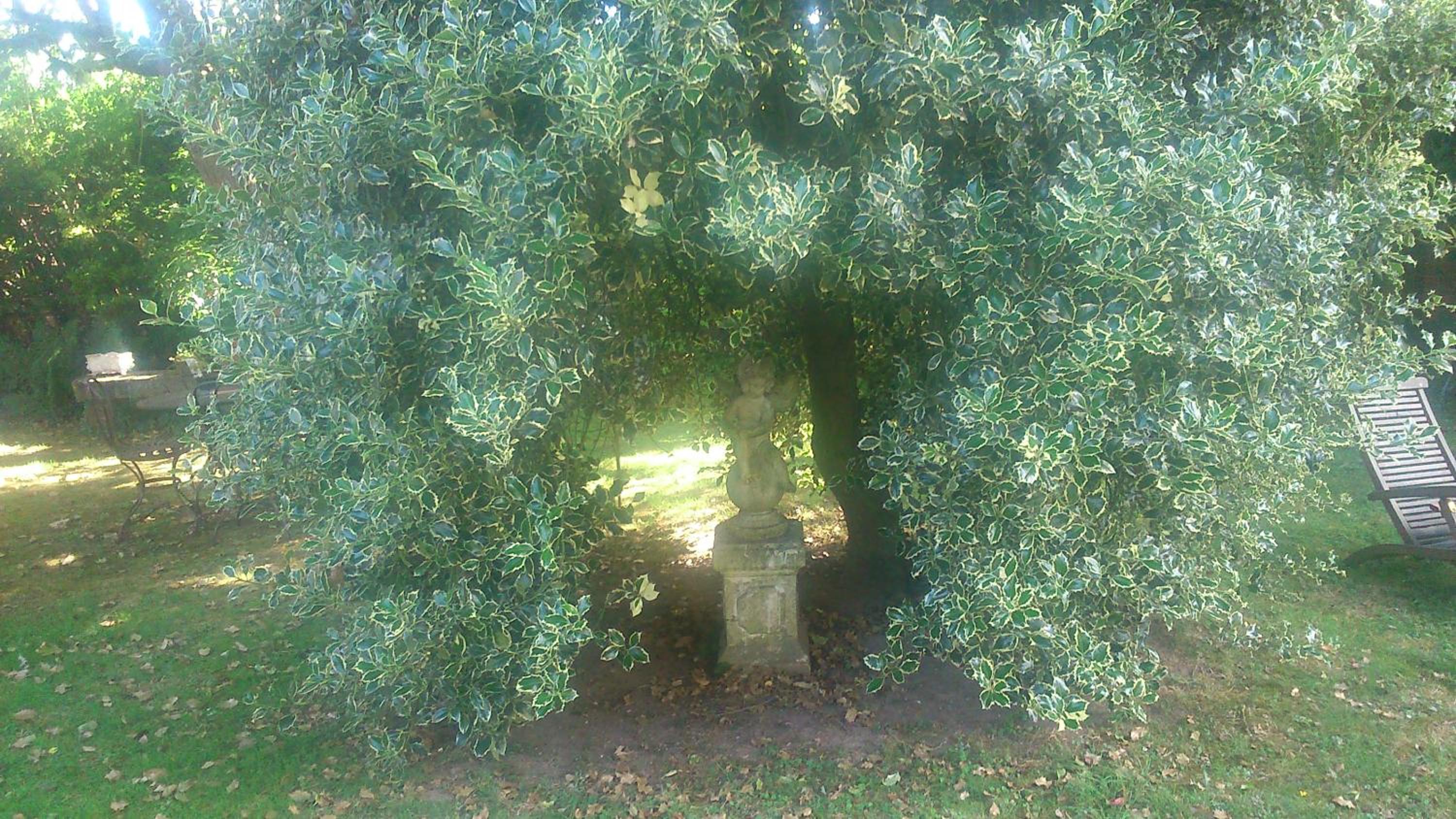 Photo 17