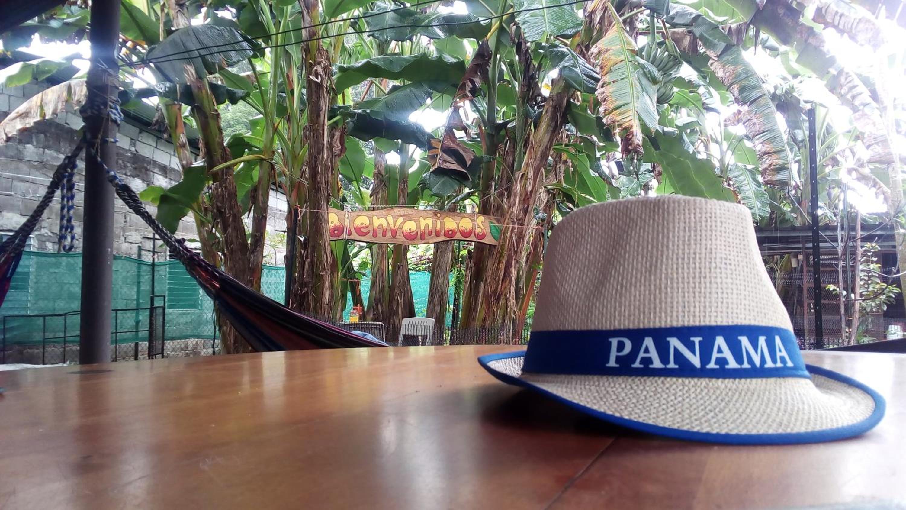 PaCasa Hostel, photo 73