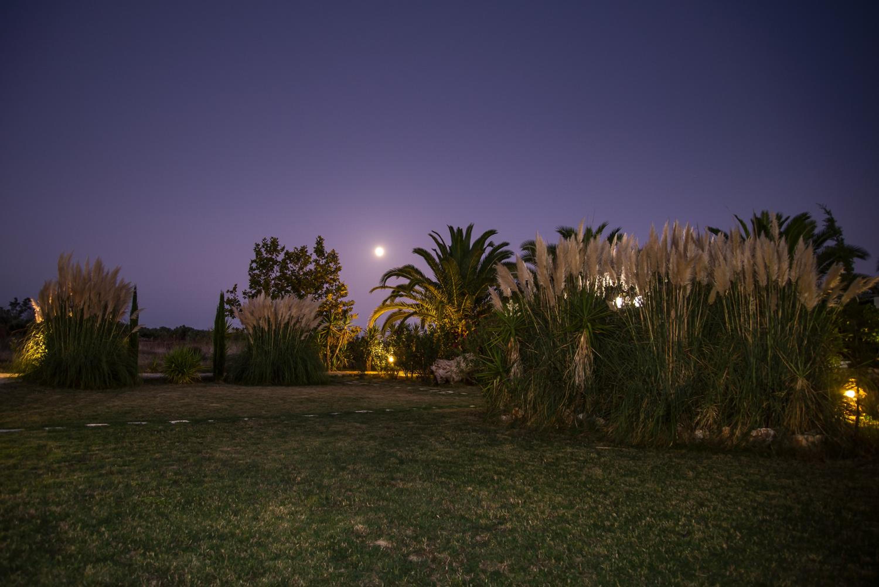 Photo 44