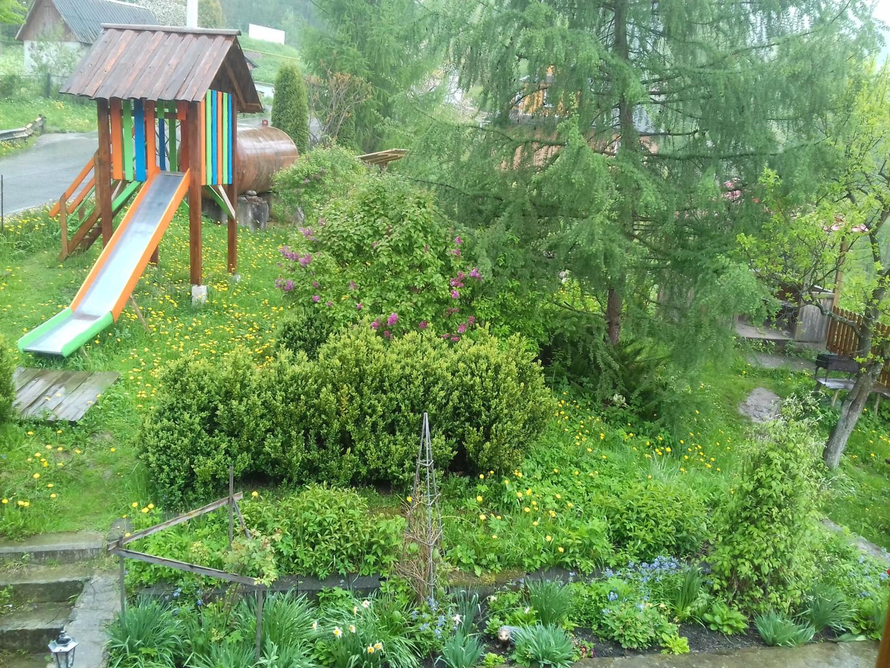 Guest House Grunyk