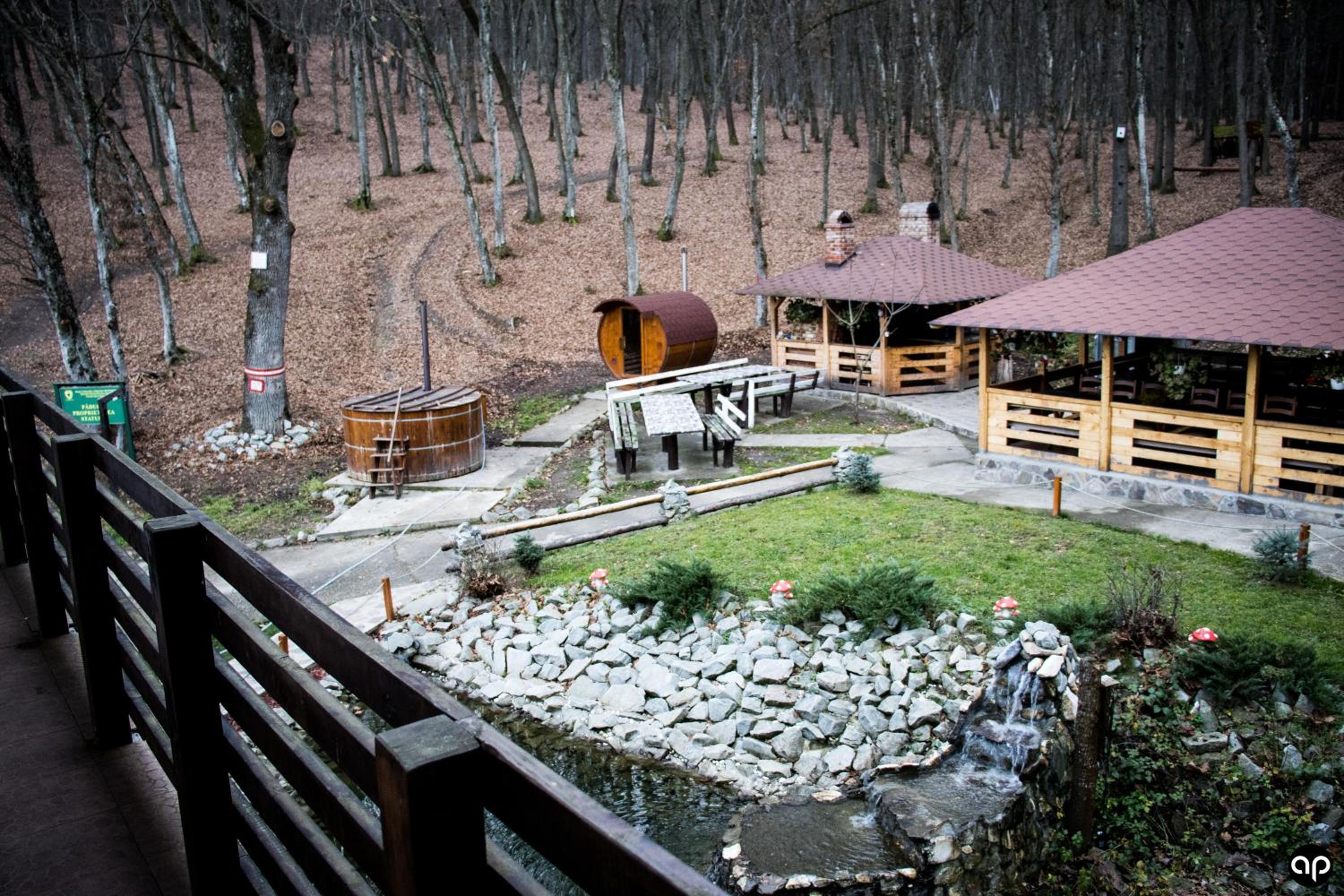 Paradisul Verde