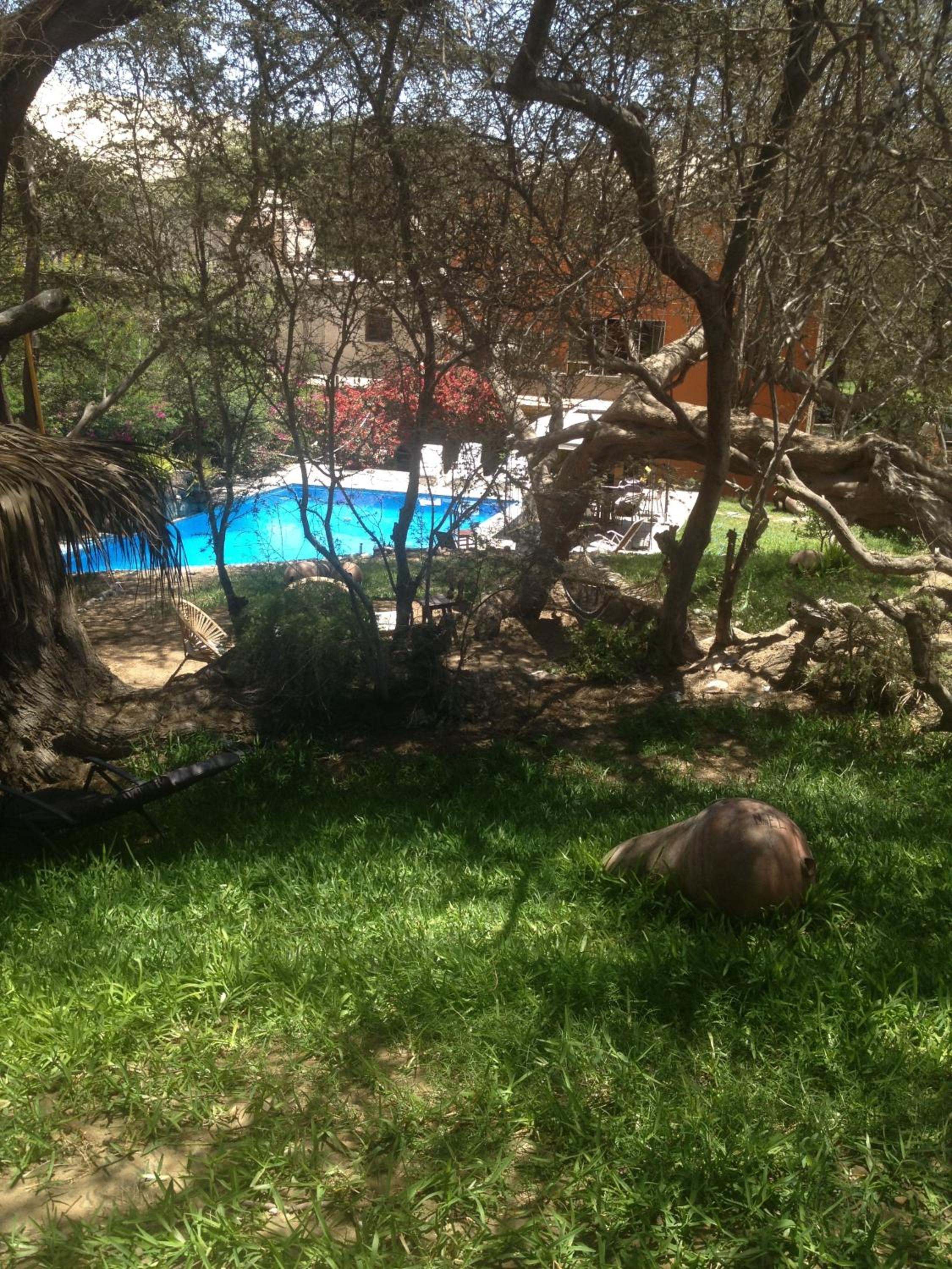 Hospedaje Rocha