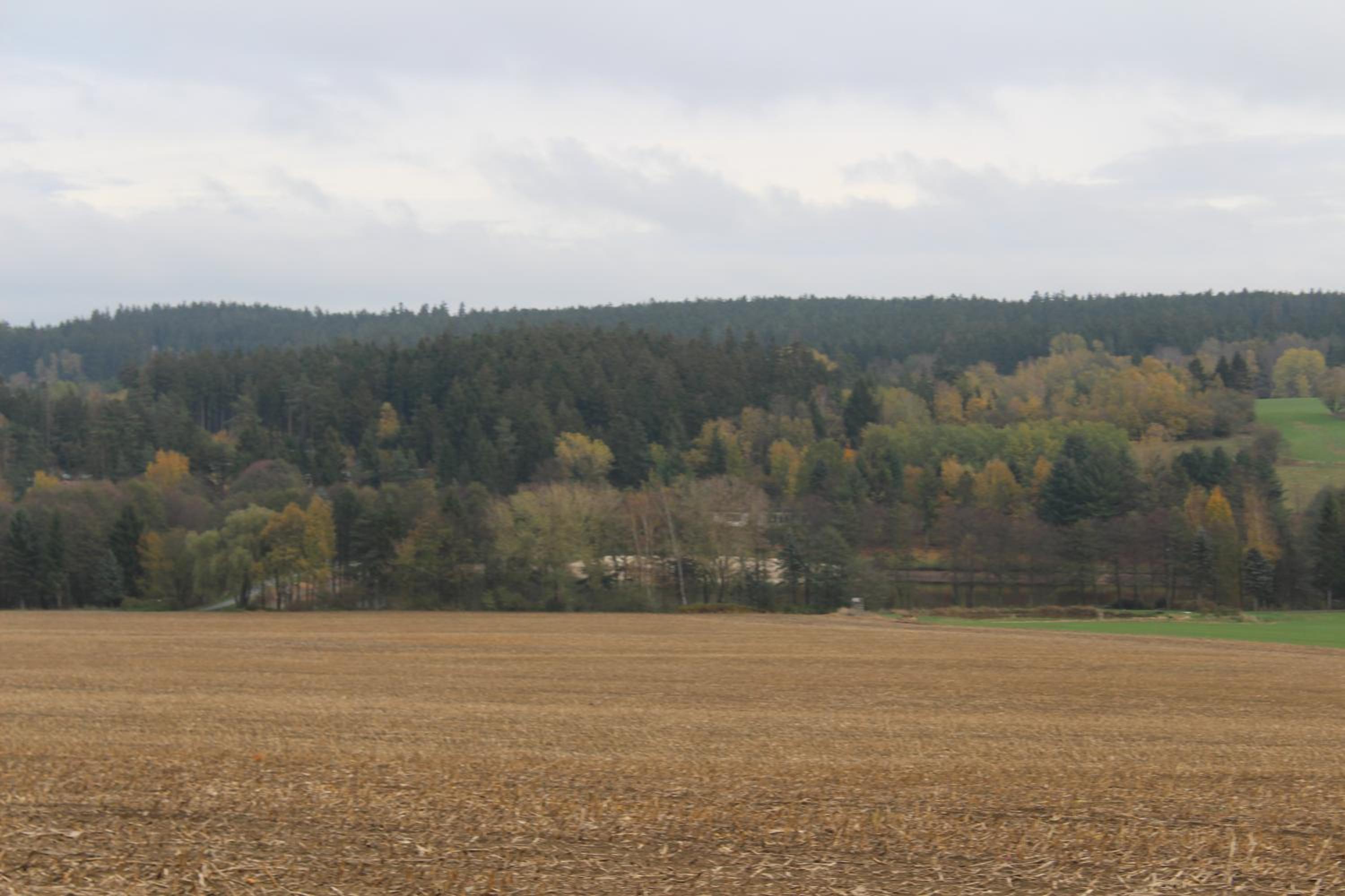 Photo 31