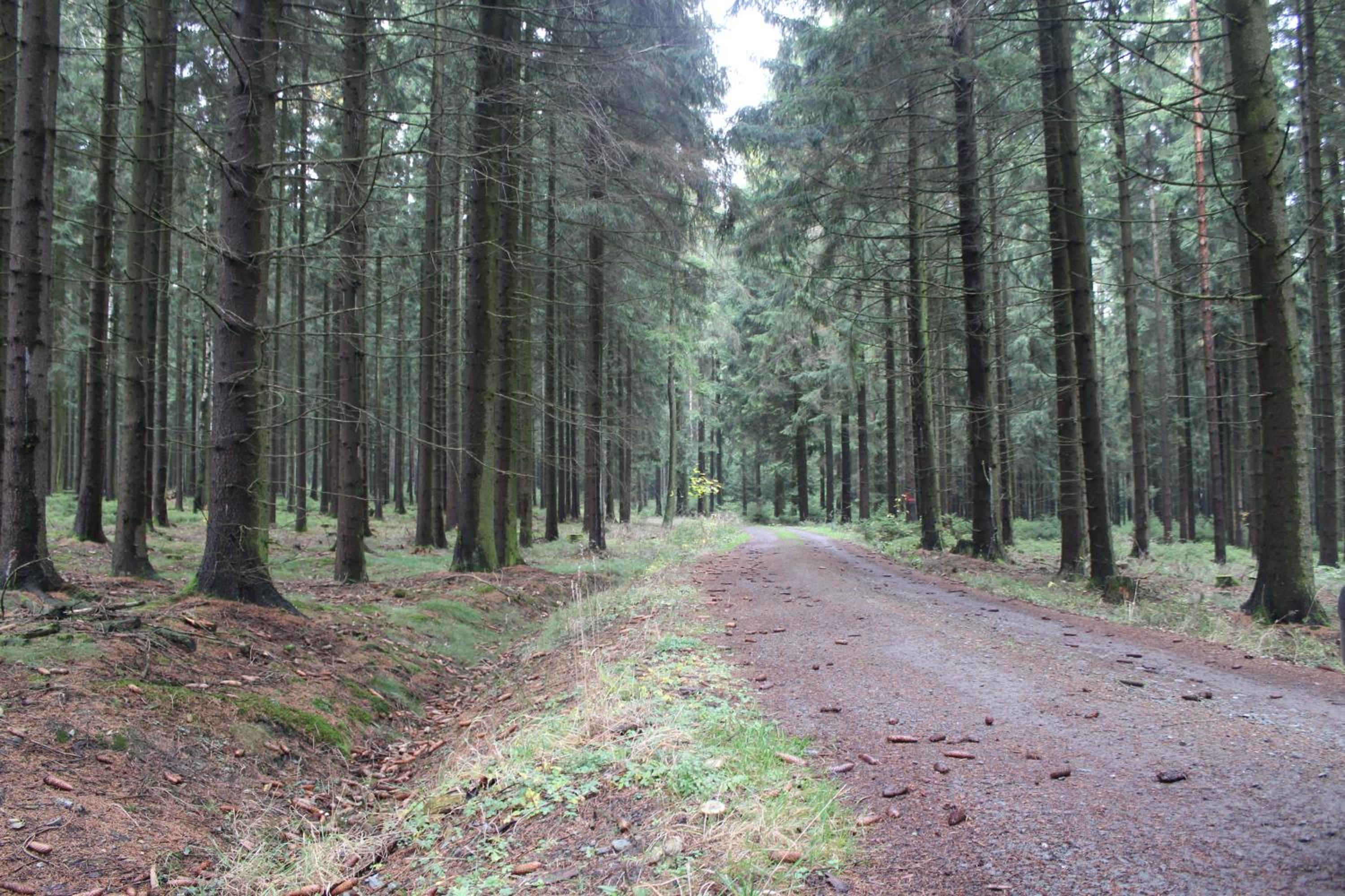 Photo 32
