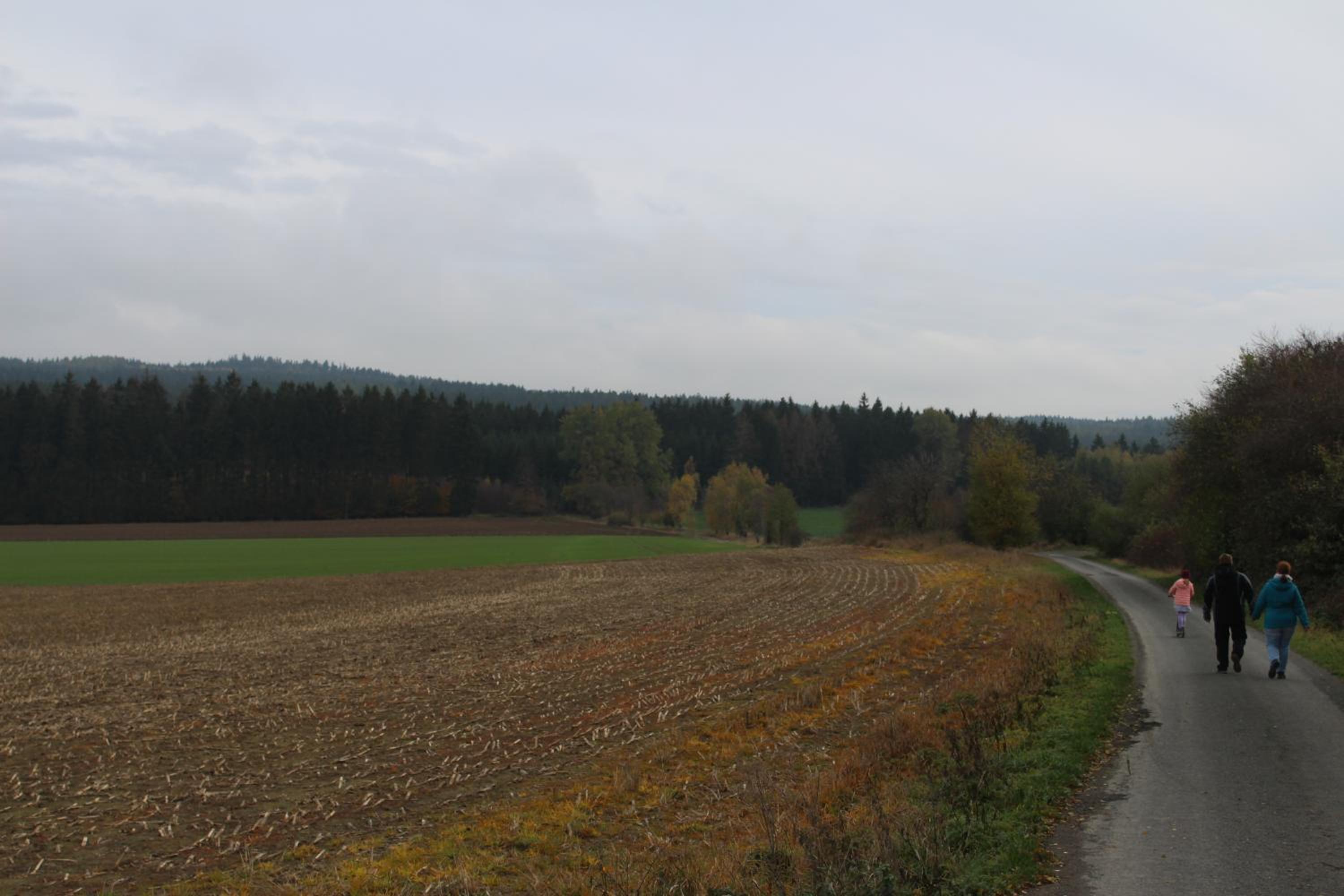 Photo 29