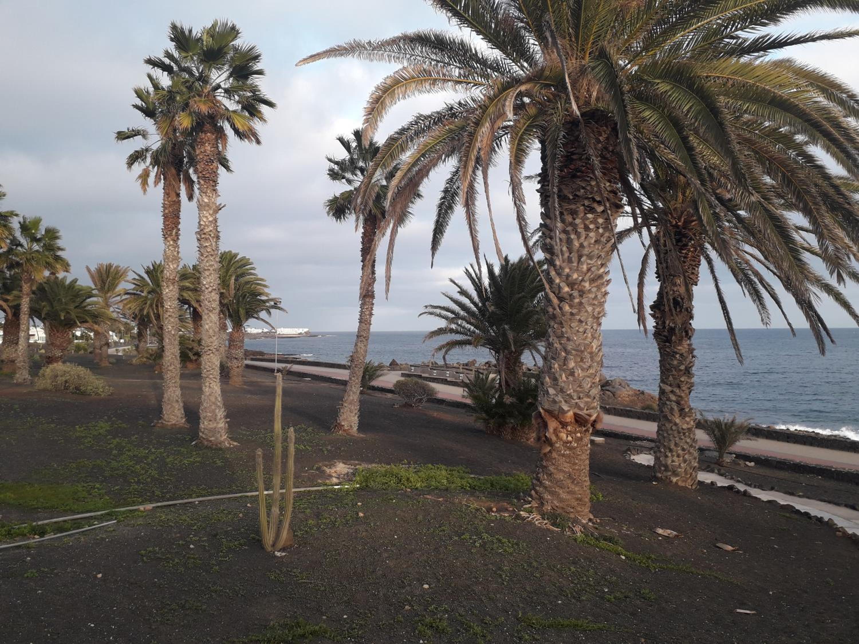 Luxury Apartamento Luz de Mar Complejo Playa Roca view 4