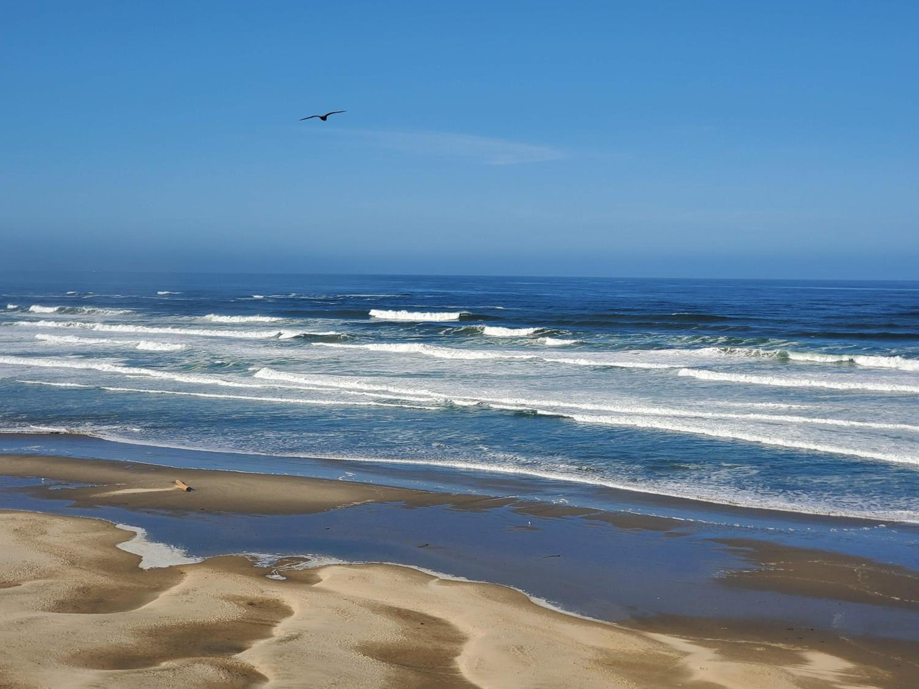 Nye Beach Cottages