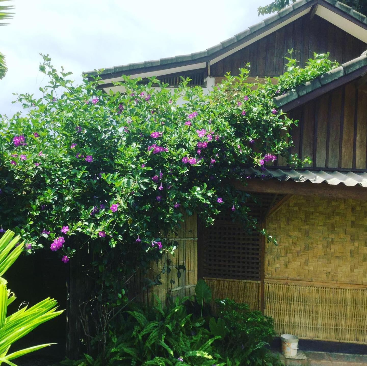 Phoxay Ngam Resort