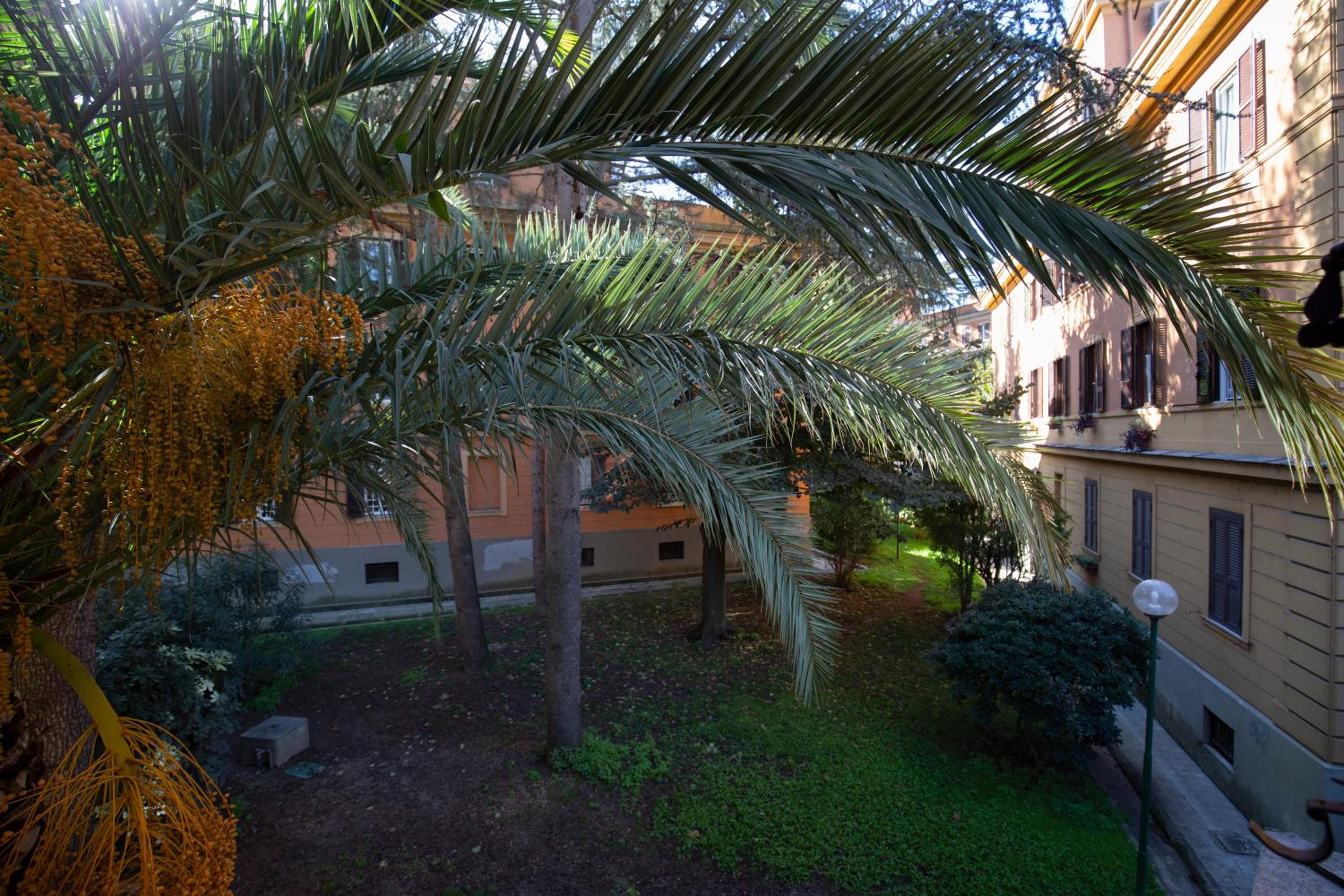 Donatello Loft
