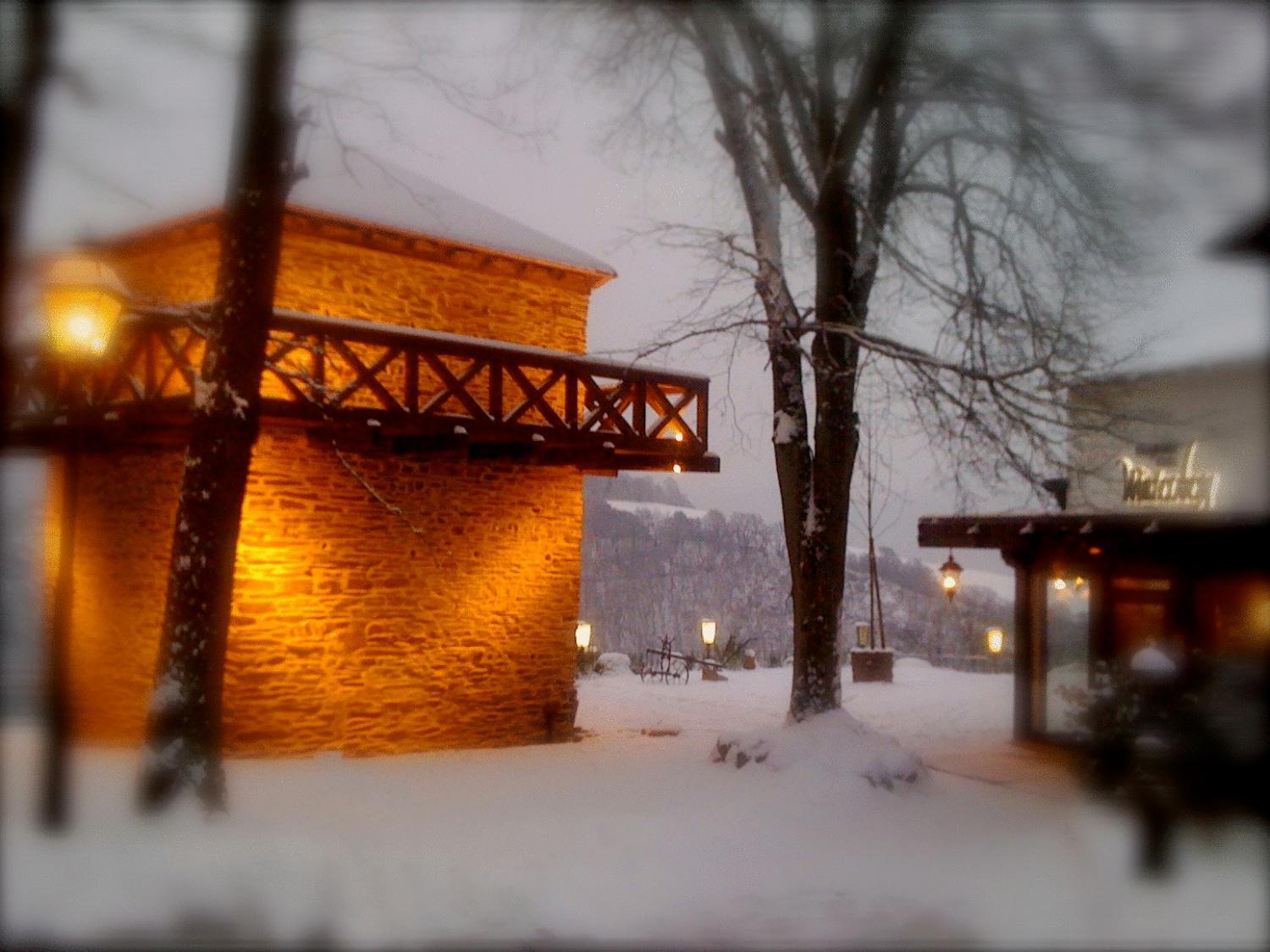 Hotel Berghotel Wintersberg - Image 1