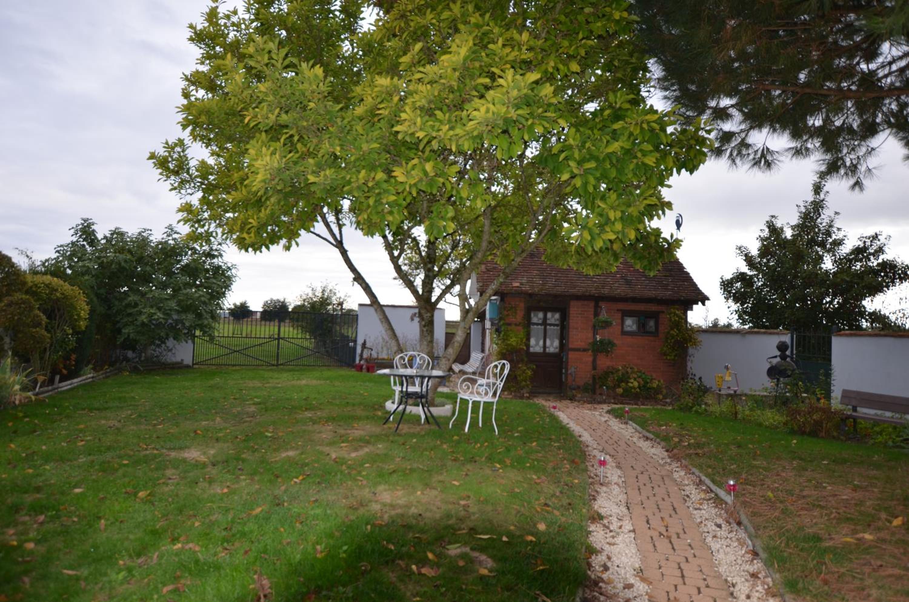 Photo 19