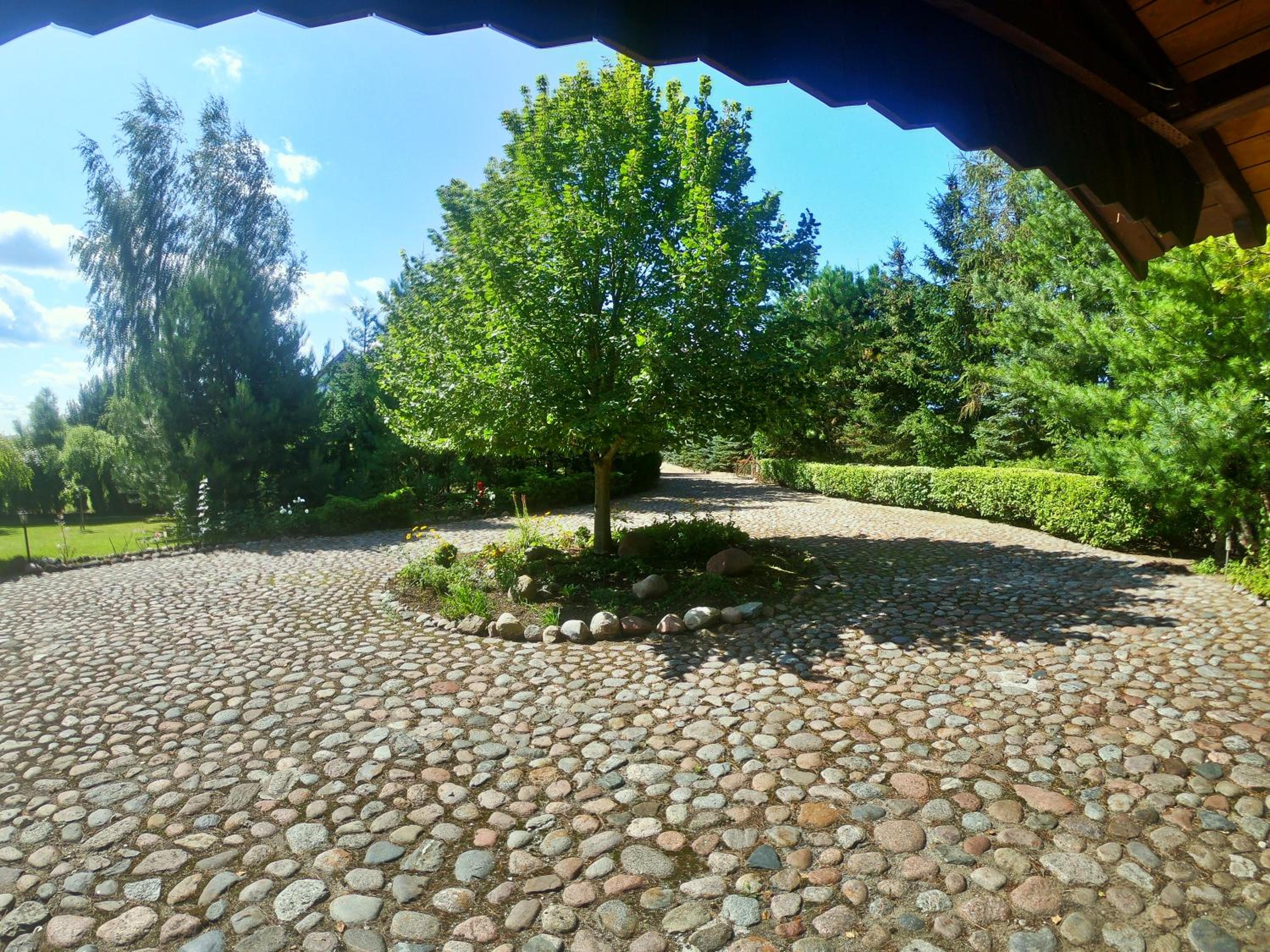 Photo 49