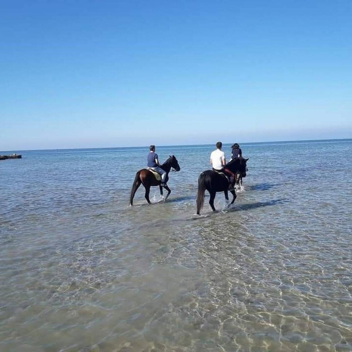 Kite House Marsala Stagnone view 4