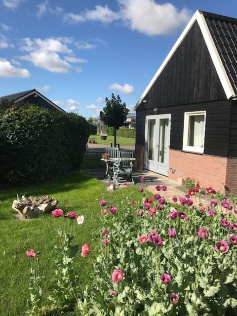 Beemster Oase view 4