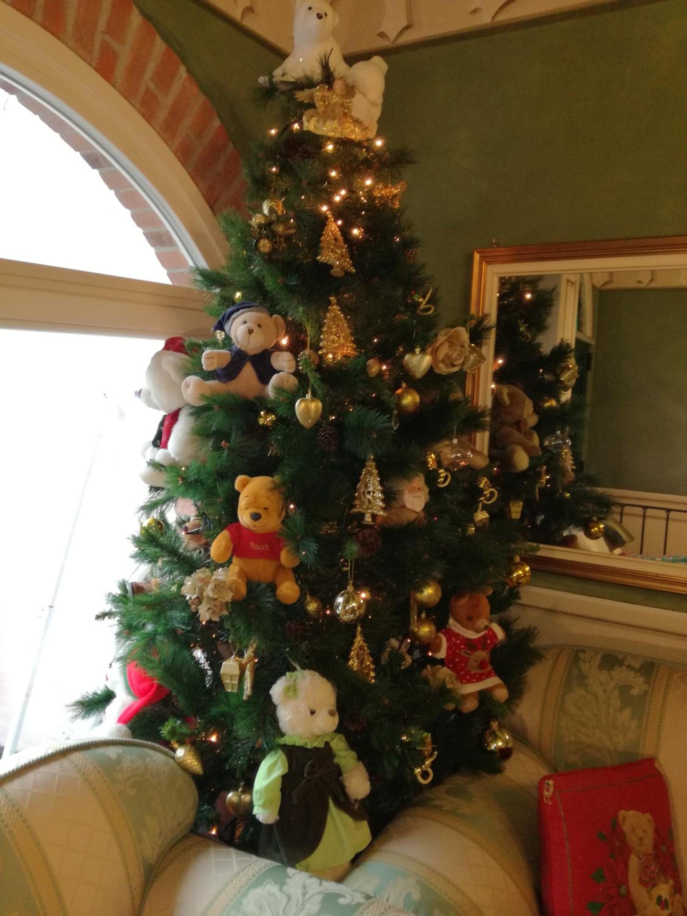B&B Casa dell'Orso