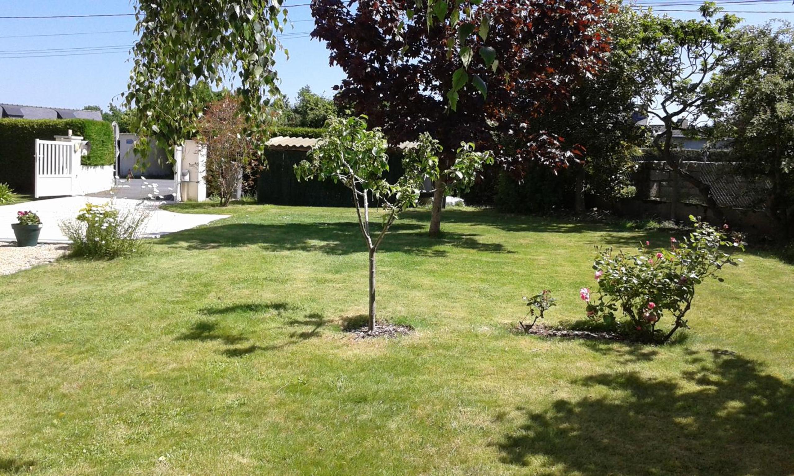 Photo 7
