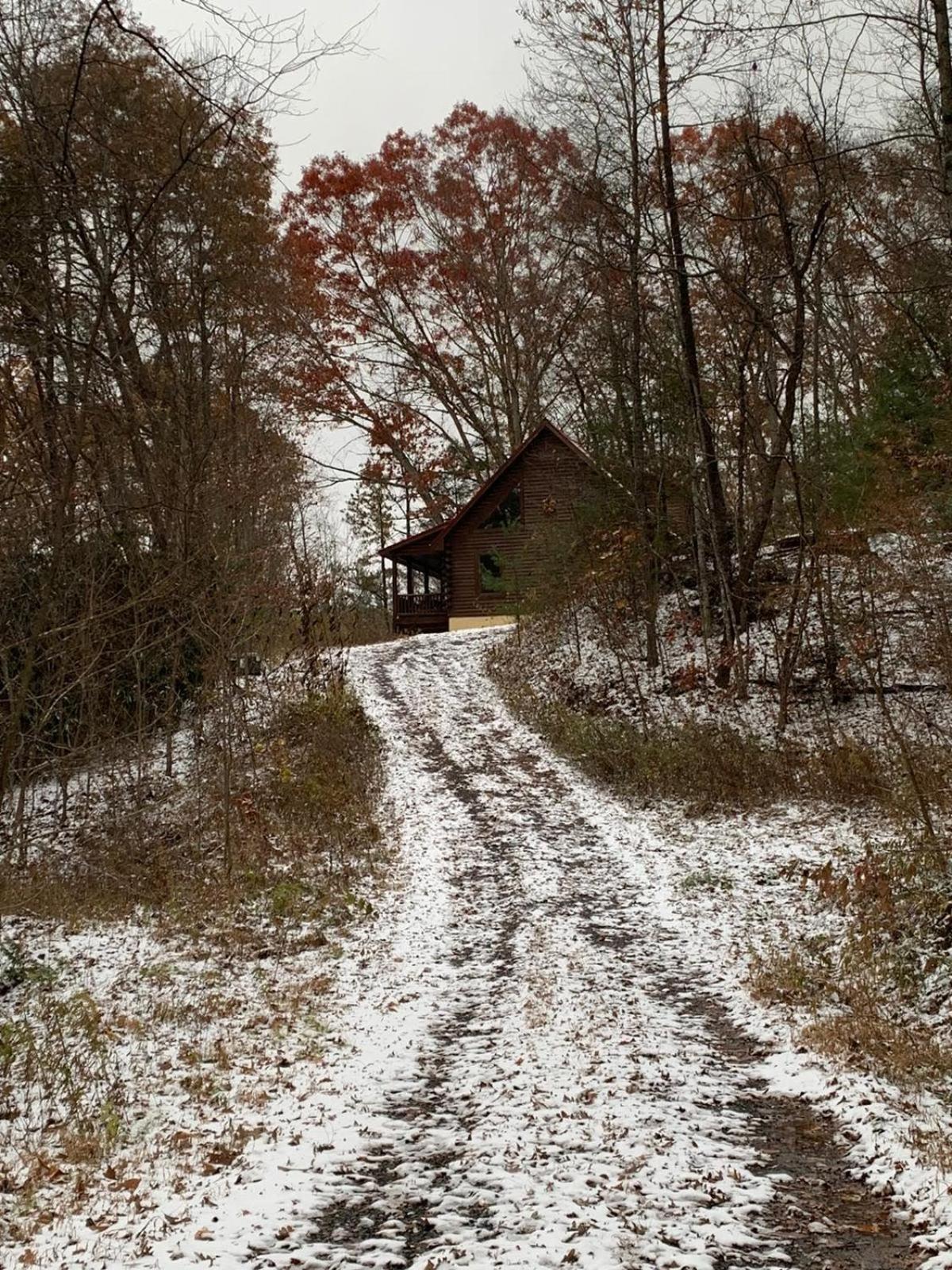 Photo 18