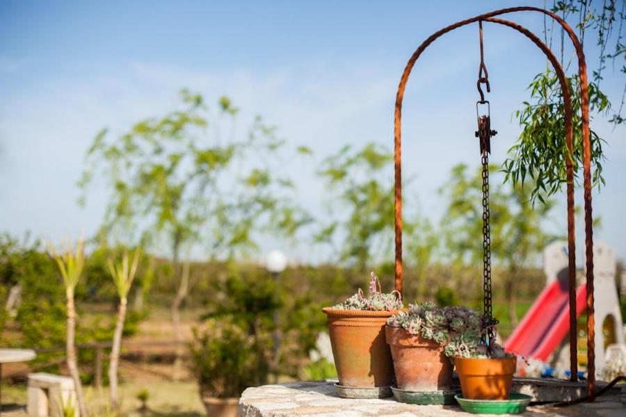 Photo 40