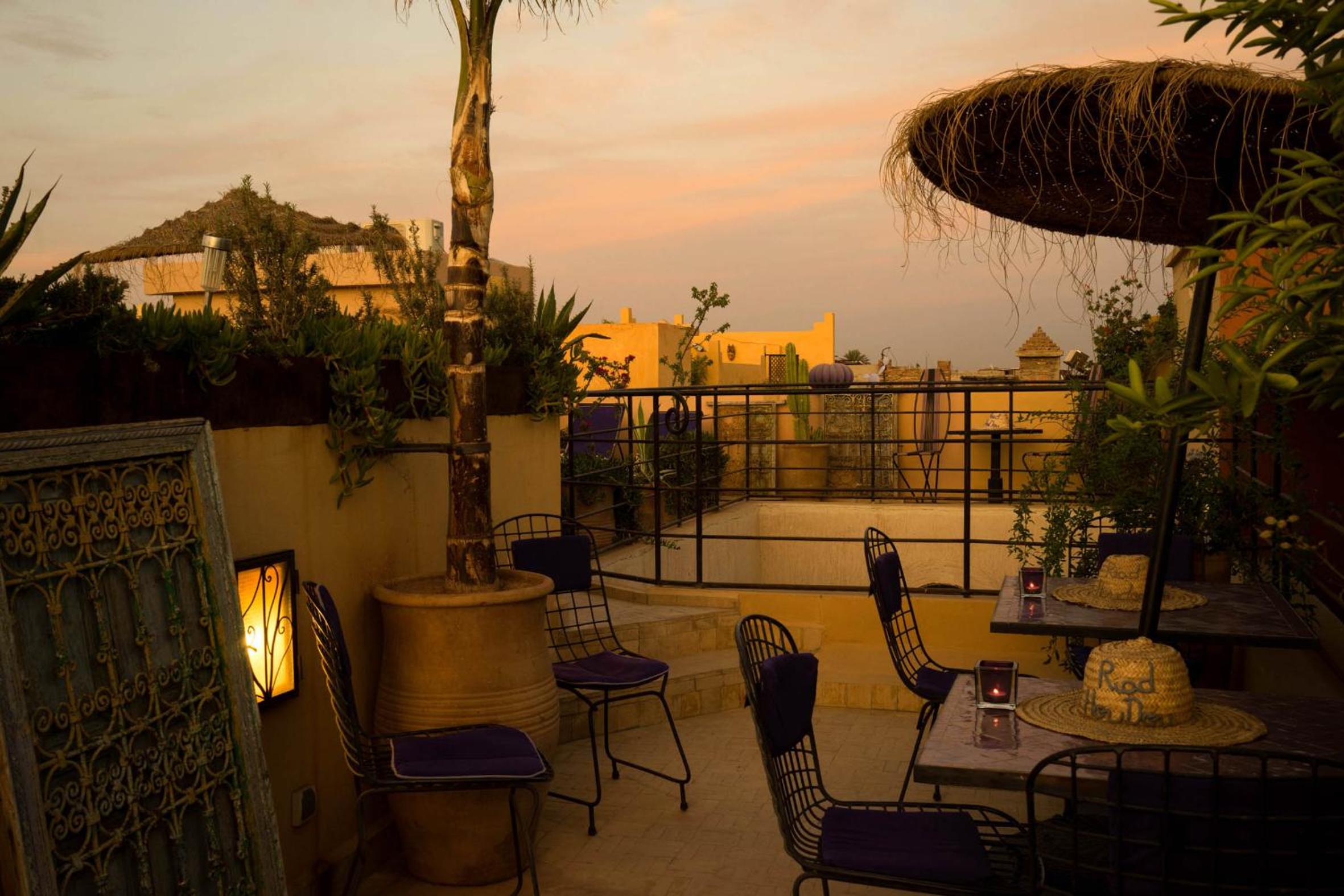 balance & terrace